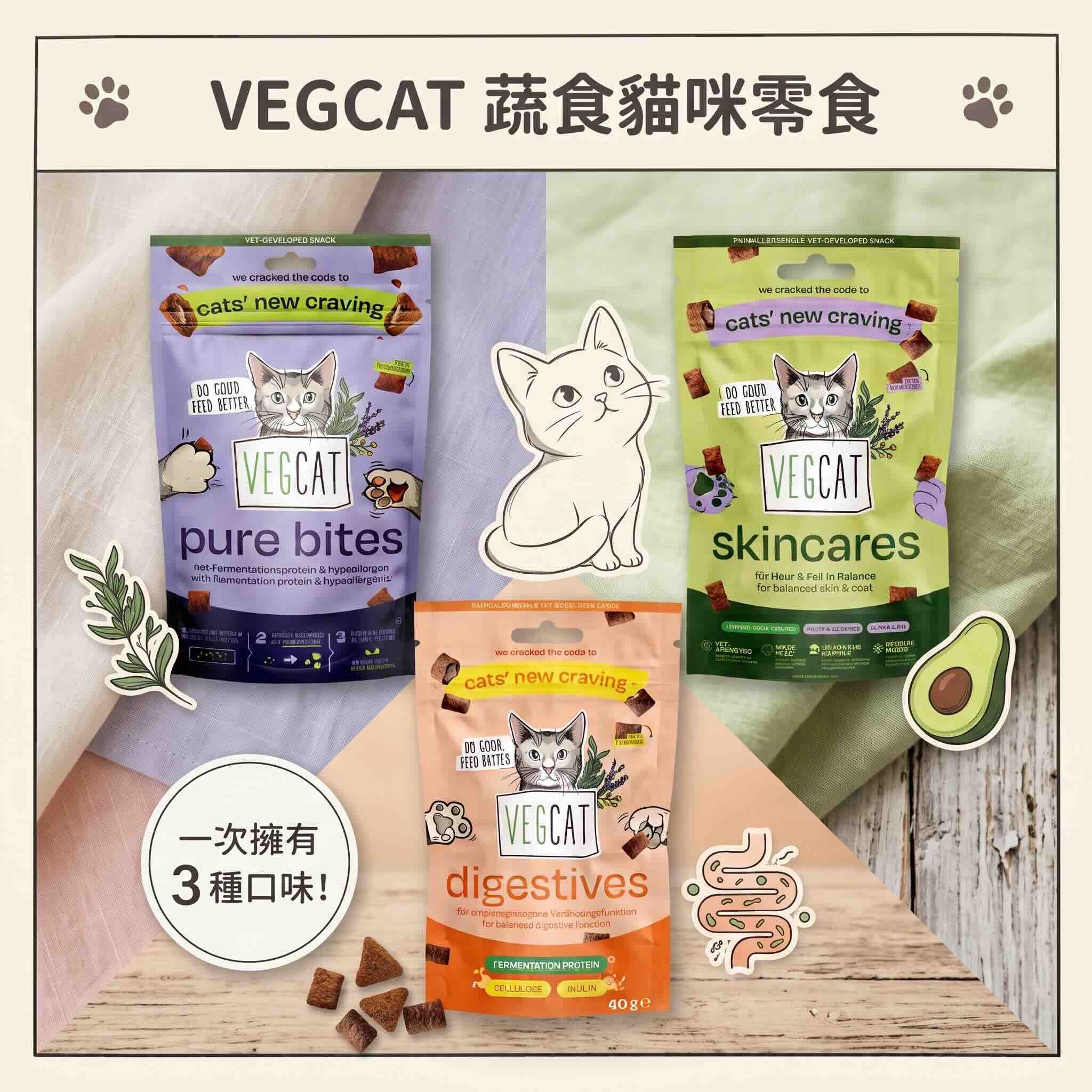 VEGCAT 貓餅乾零食 60g（含牛磺酸  低致敏性  創新發酵蛋白）