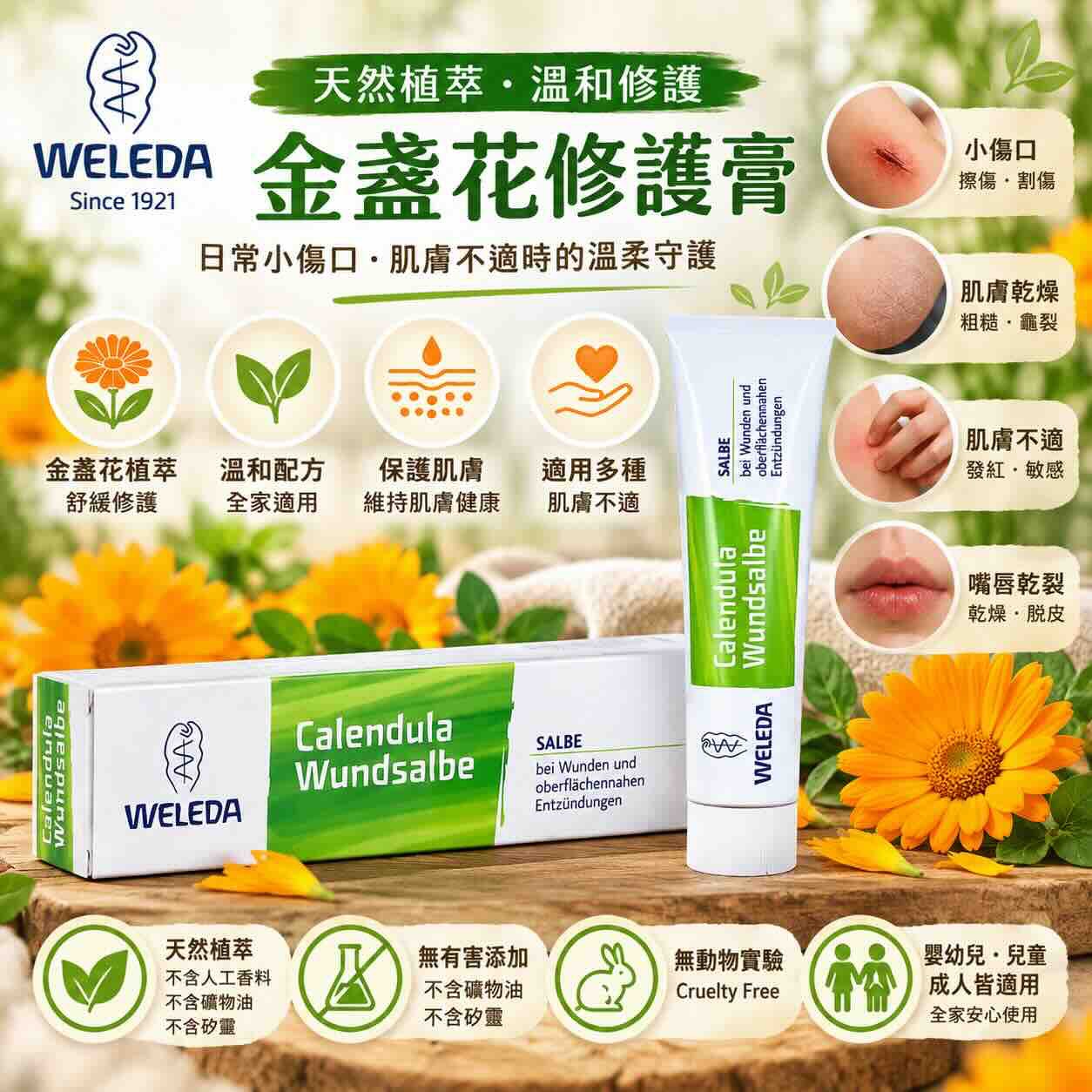 Ｗeleda 金盞花傷口軟膏 70g 促進傷口癒合（ 支持皮膚再生  • 抗發炎作用  • 針對擦傷和表面炎症）