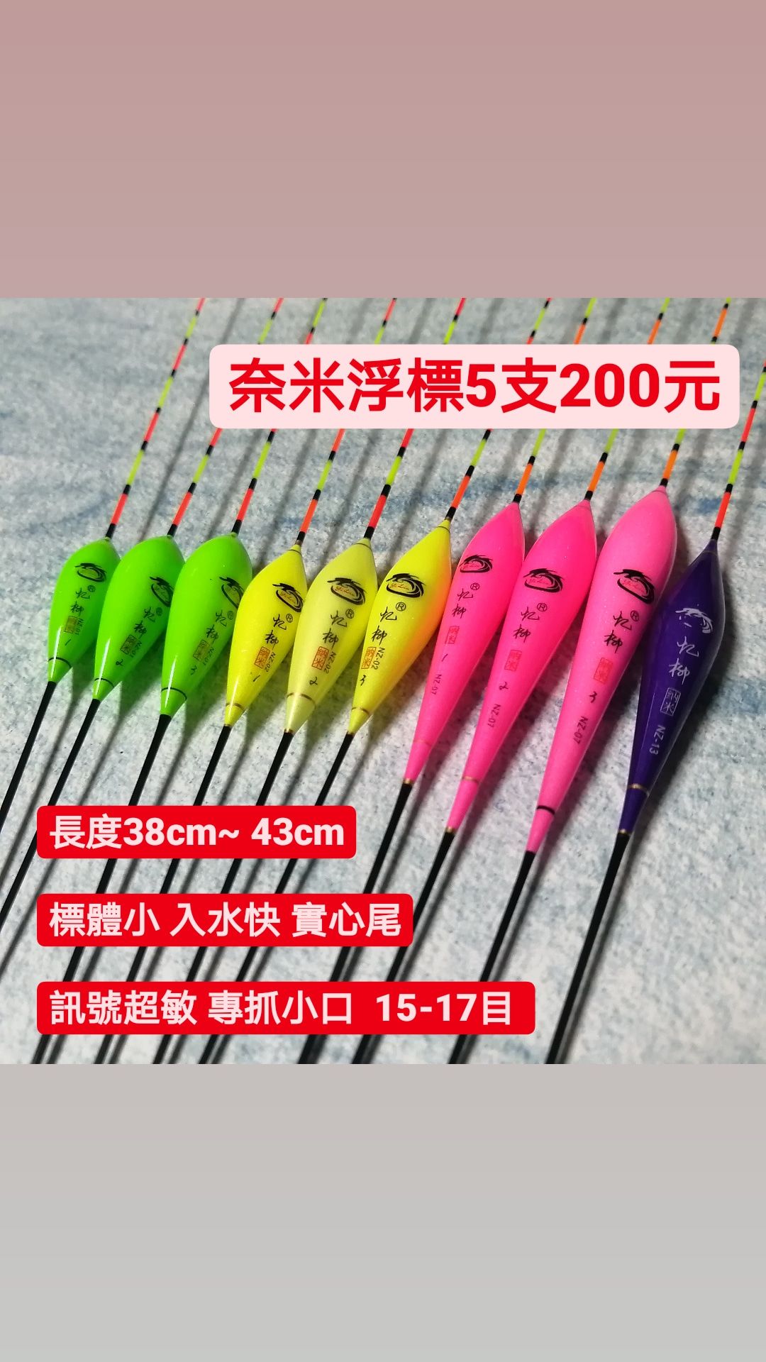 奈米浮標-5隻200元