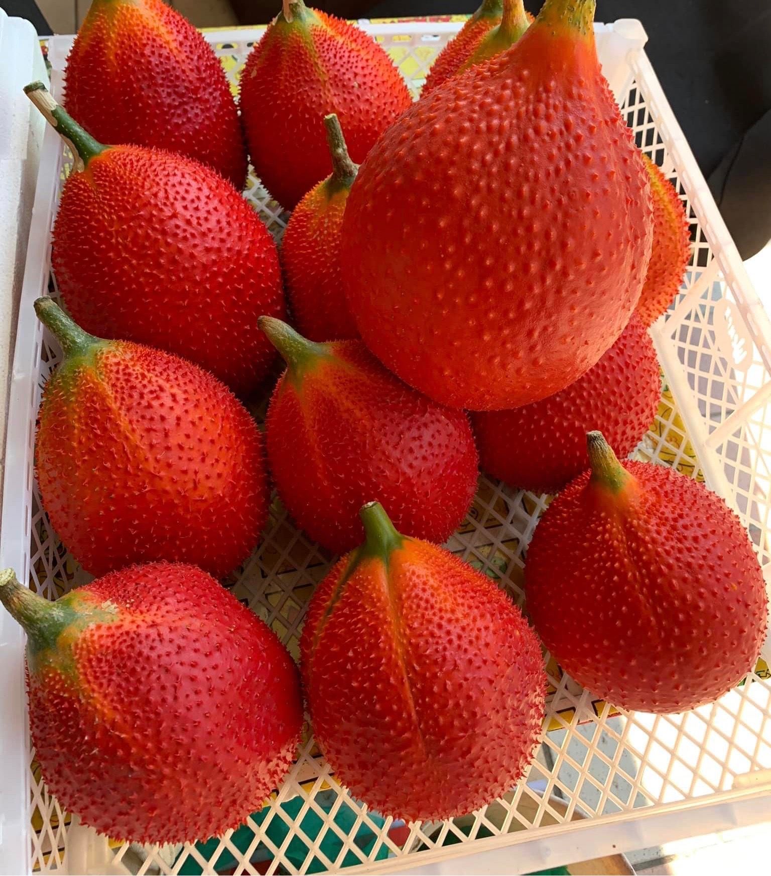 木鱉果果肉＆假種皮