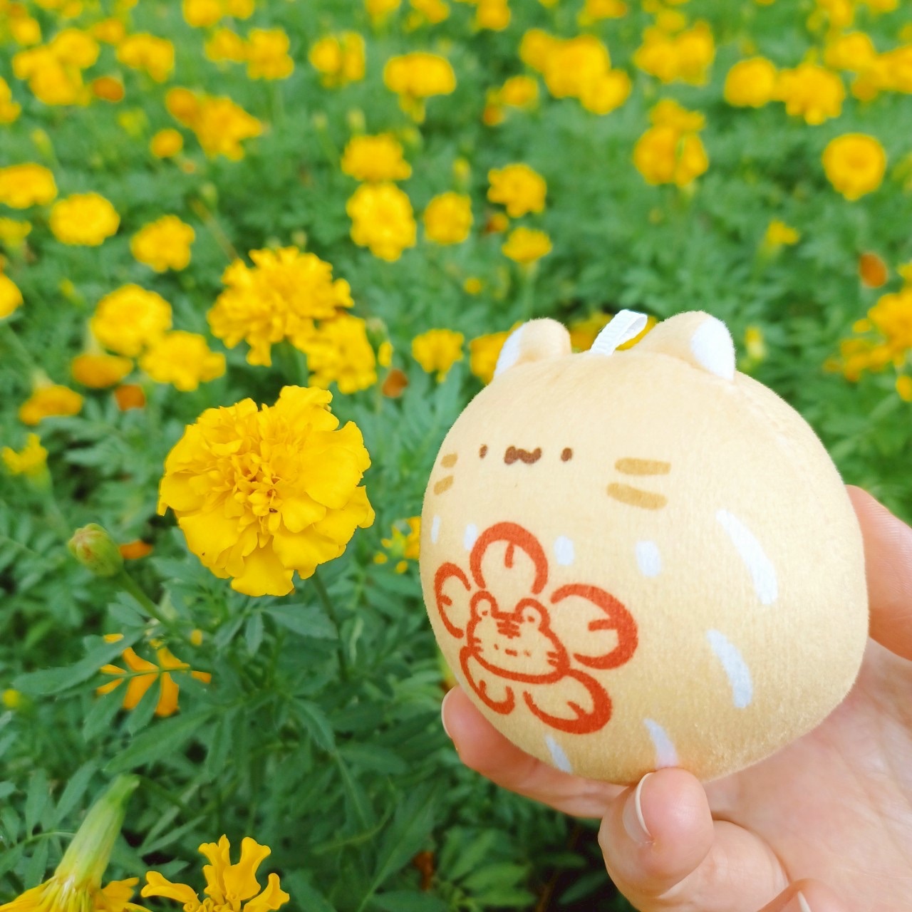 Mo吉貓狀元餅糰子