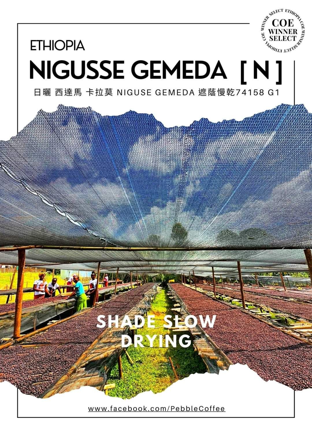 衣索比亞 日曬 西達馬 卡拉莫 Niguse Gemeda 遮蔭慢乾 74158 G1