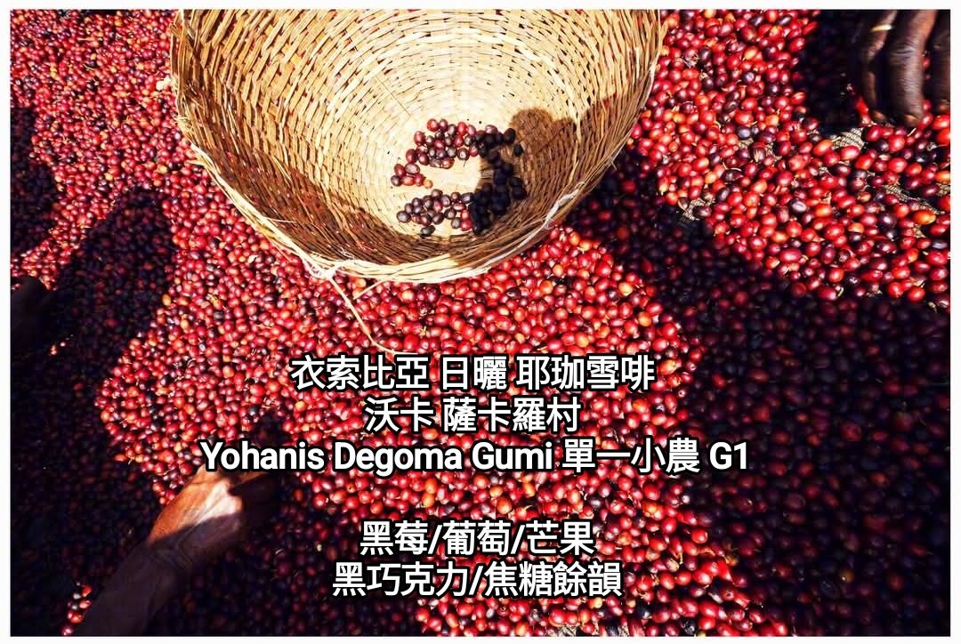 衣索比亞 日曬 耶珈雪啡 沃卡 薩卡羅村 Yohanis Degoma Gumi 單一小農 G1