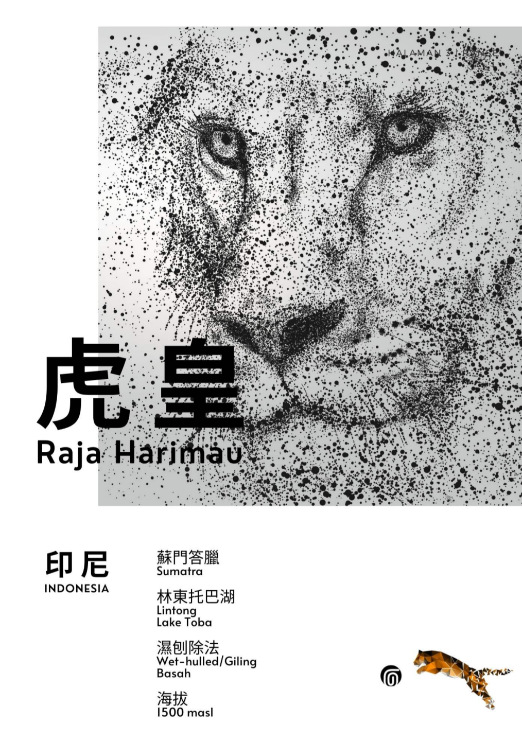 蘇門答臘 虎皇 林東曼特寧 25/01 批次