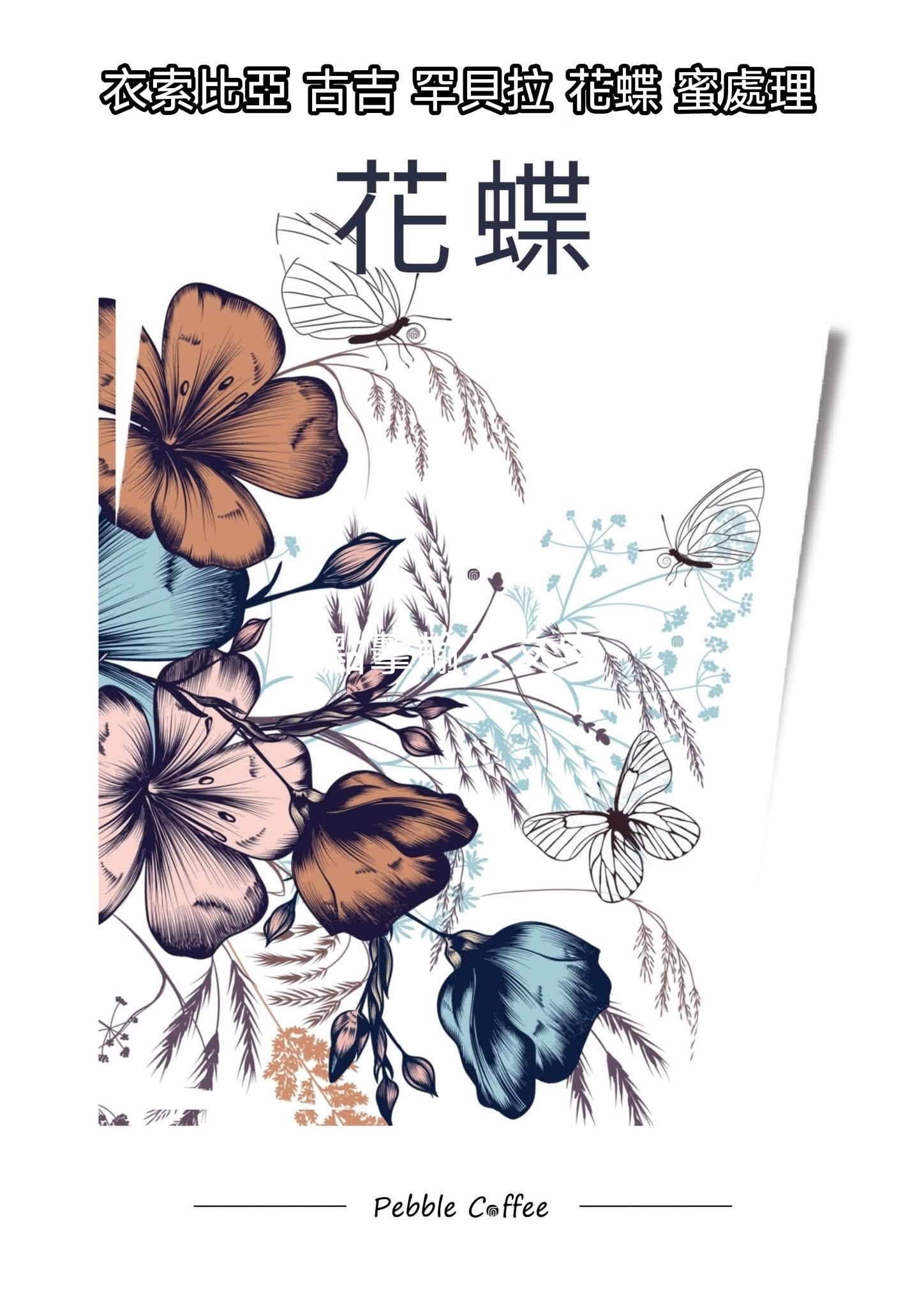 衣索比亞 古吉 罕貝拉 花蝶 蜜處理 G1