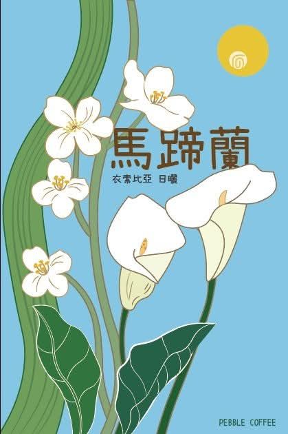 衣索比亞 日曬 古吉 罕貝拉 瓦米納鎮 馬蹄蘭/塔塔加優/甜甜果 G1