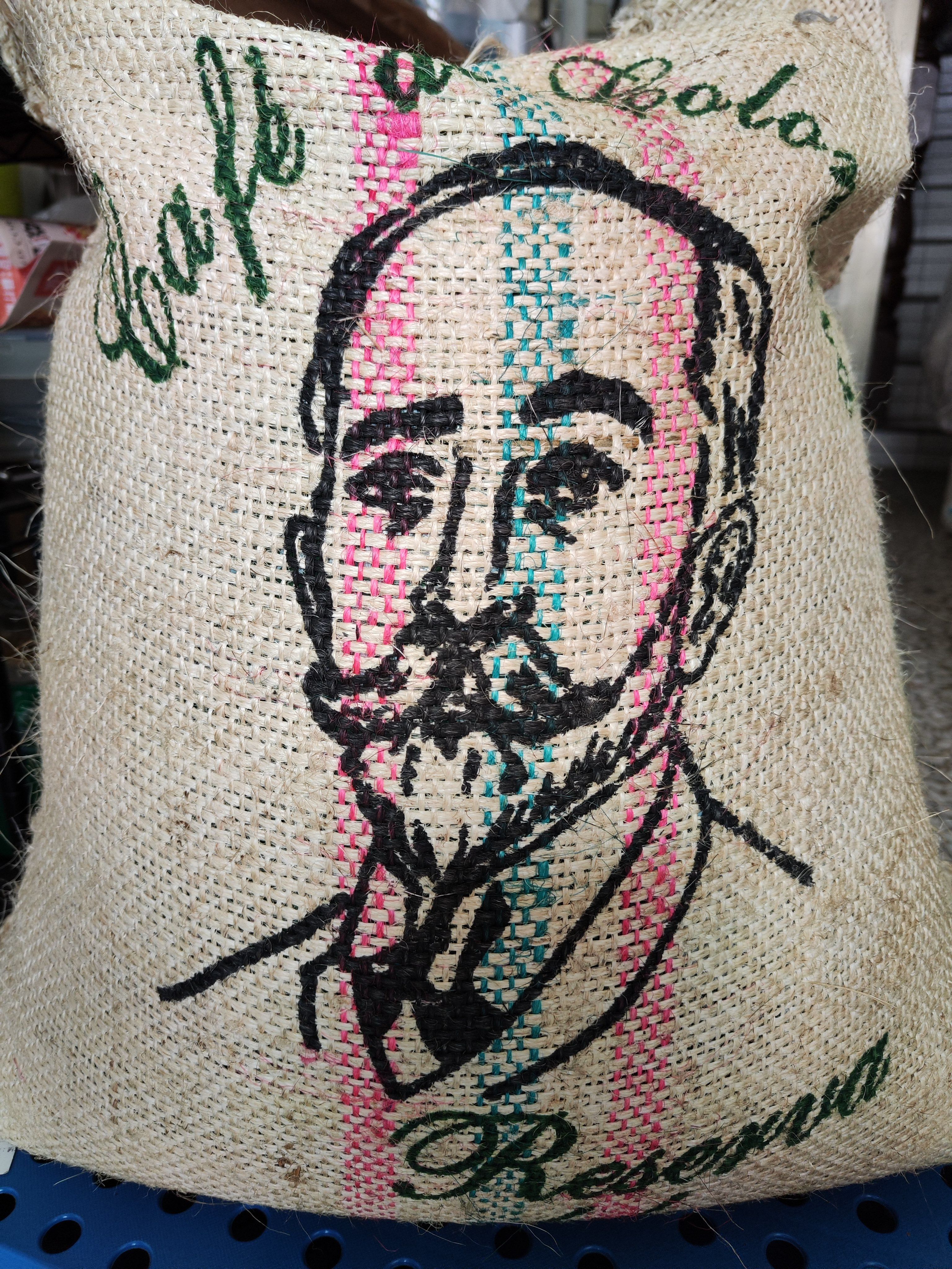 哥倫比亞 娜玲瓏 拉米尼塔 模範生