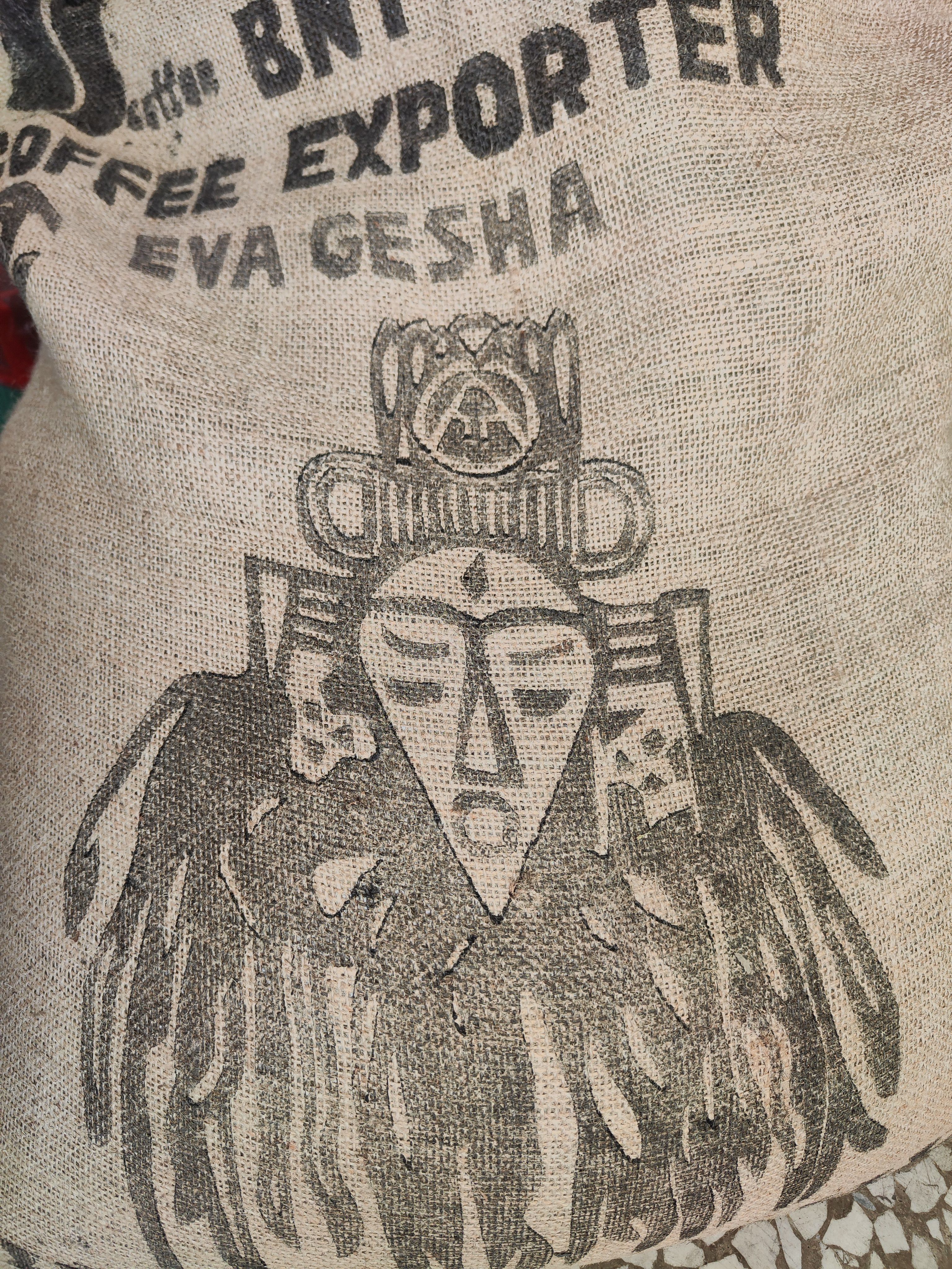 衣索比亞 班奇馬吉 果里 藝伎 水洗  G1 夏娃