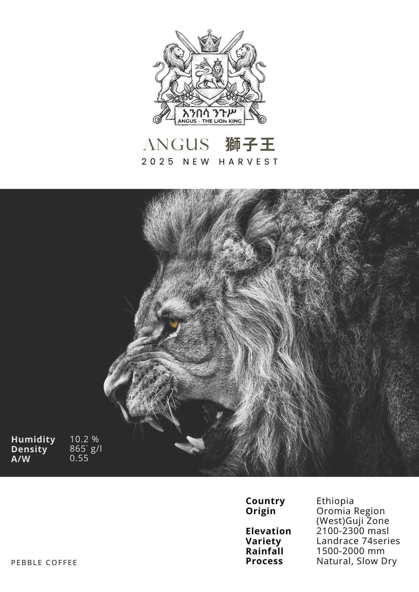 衣索比亞 古吉 安格斯獅子王 日曬處理 25/01批次 G1