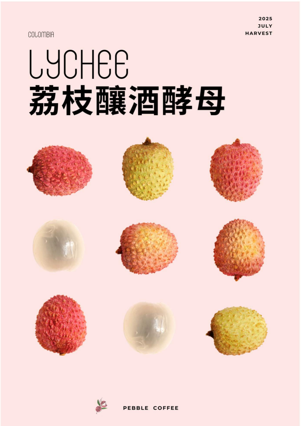 哥倫比亞 金迪歐 卡洛斯·阿爾席拉 荔枝釀酒酵母 蜜處理