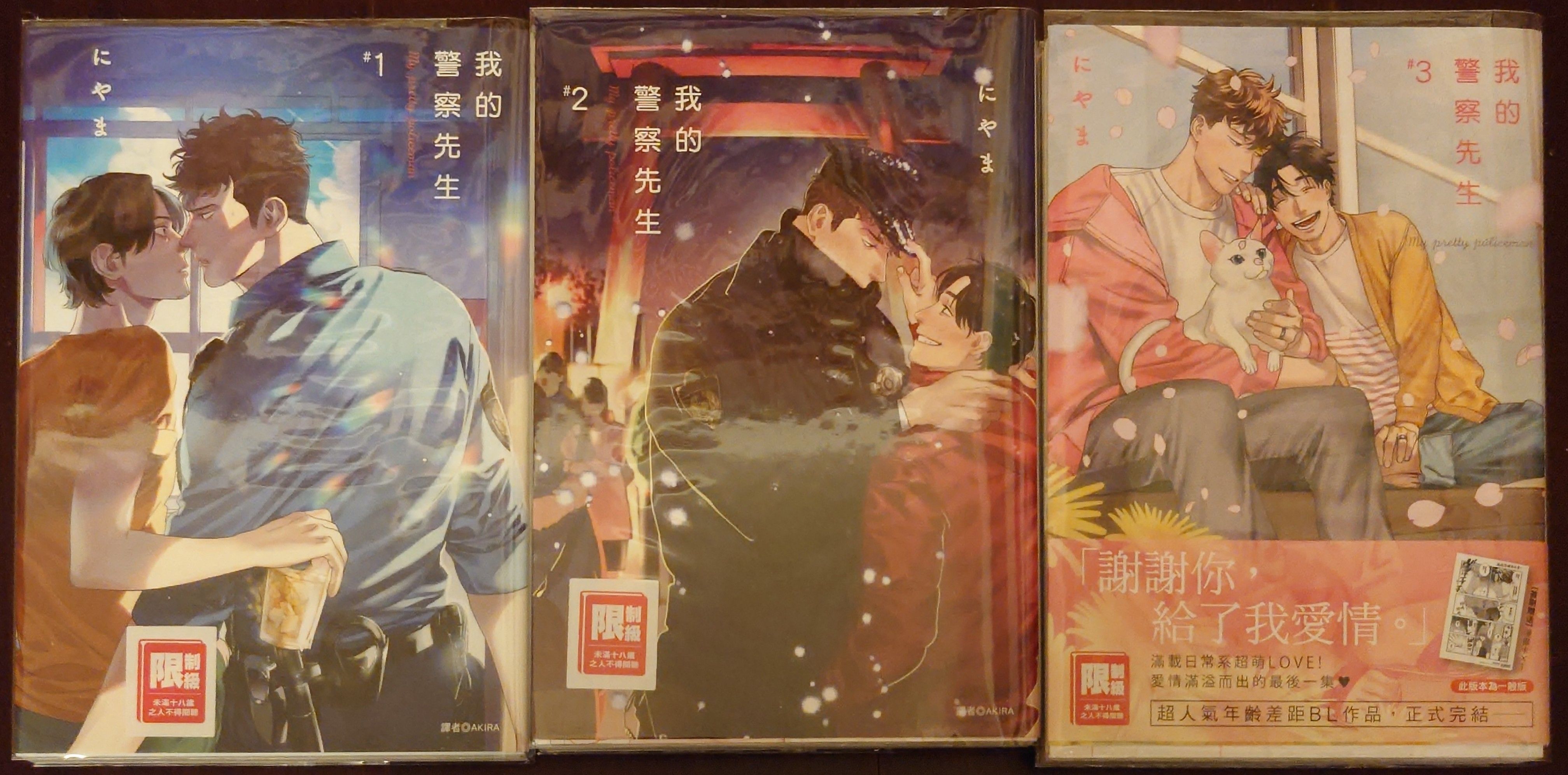 限定下標 我的警察先生