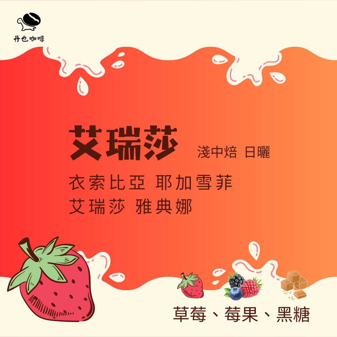 ＜淺中焙＞艾瑞莎 / 耶加雪菲 艾瑞莎 雅典娜 / 日曬 / 草莓 莓果 黑糖