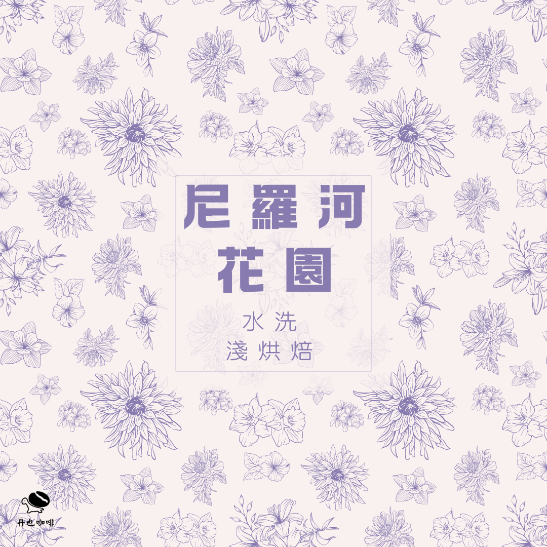 ＜淺焙＞尼羅河花園 / 衣索比亞 蓋迪歐 波塔巴 / 水洗 / 水蜜桃 荔枝 柚子