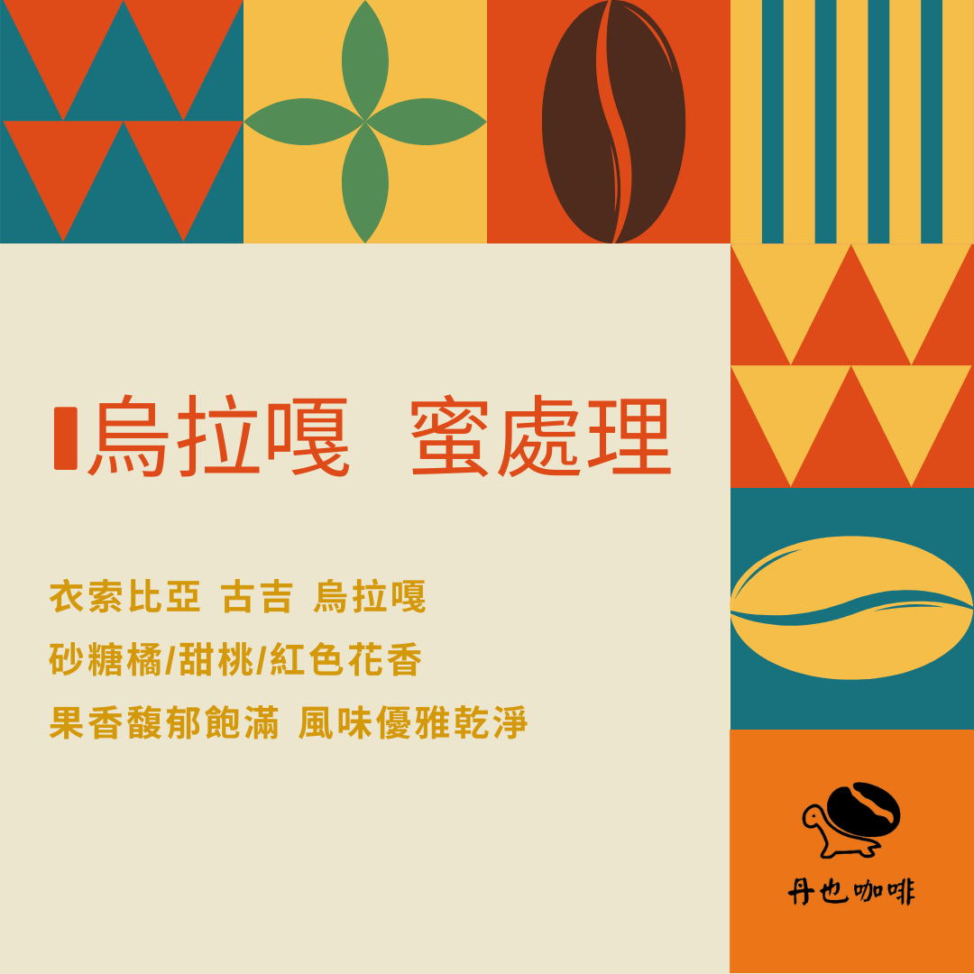 3月新豆 / 果香明顯甜感佳＜淺焙＞烏啦嘎 / 衣索比亞 古吉 / 蜜處理 / 砂糖橘 甜桃