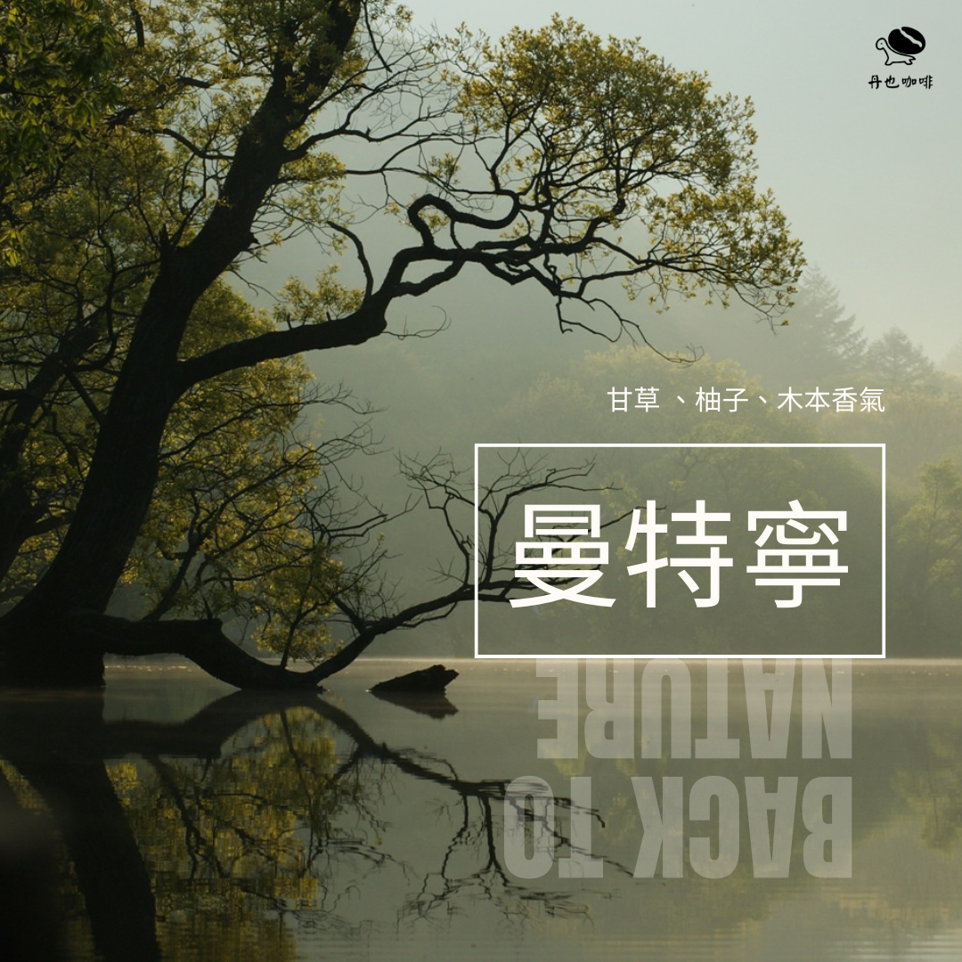 3月新豆＜中深焙＞曼特寧/ 印尼爪哇島 / 濕剝半水洗 / 甘草、柚子