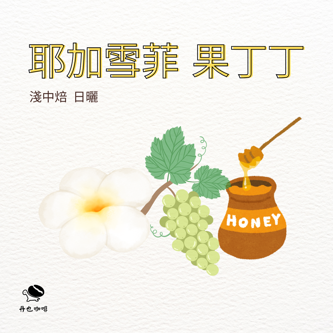 4月新豆＜淺中焙＞果丁丁/ 耶加雪菲 班可果丁丁 / 日曬 / 蜂蜜 麝香葡萄 白花