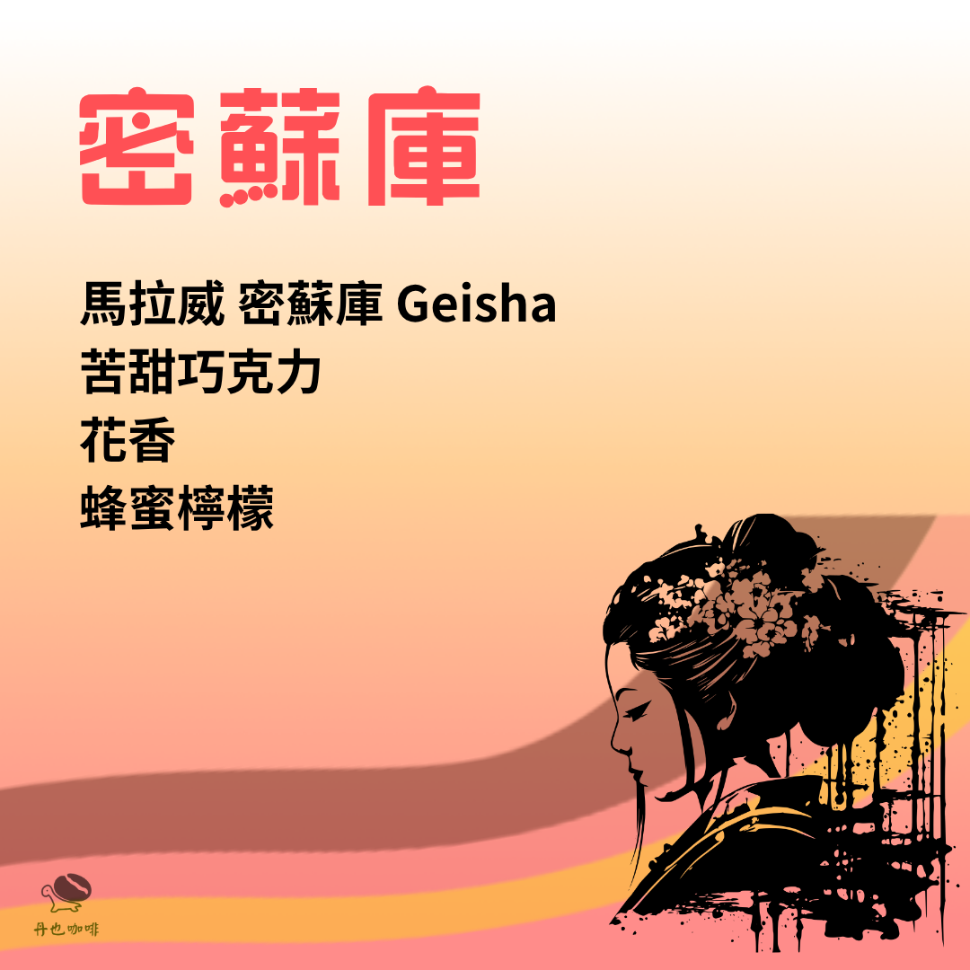 7月新豆 花果香＜中焙＞密蘇庫 / 馬拉威 Geisha / 水洗 / 苦甜巧克力 花香 蜂蜜檸檬風味