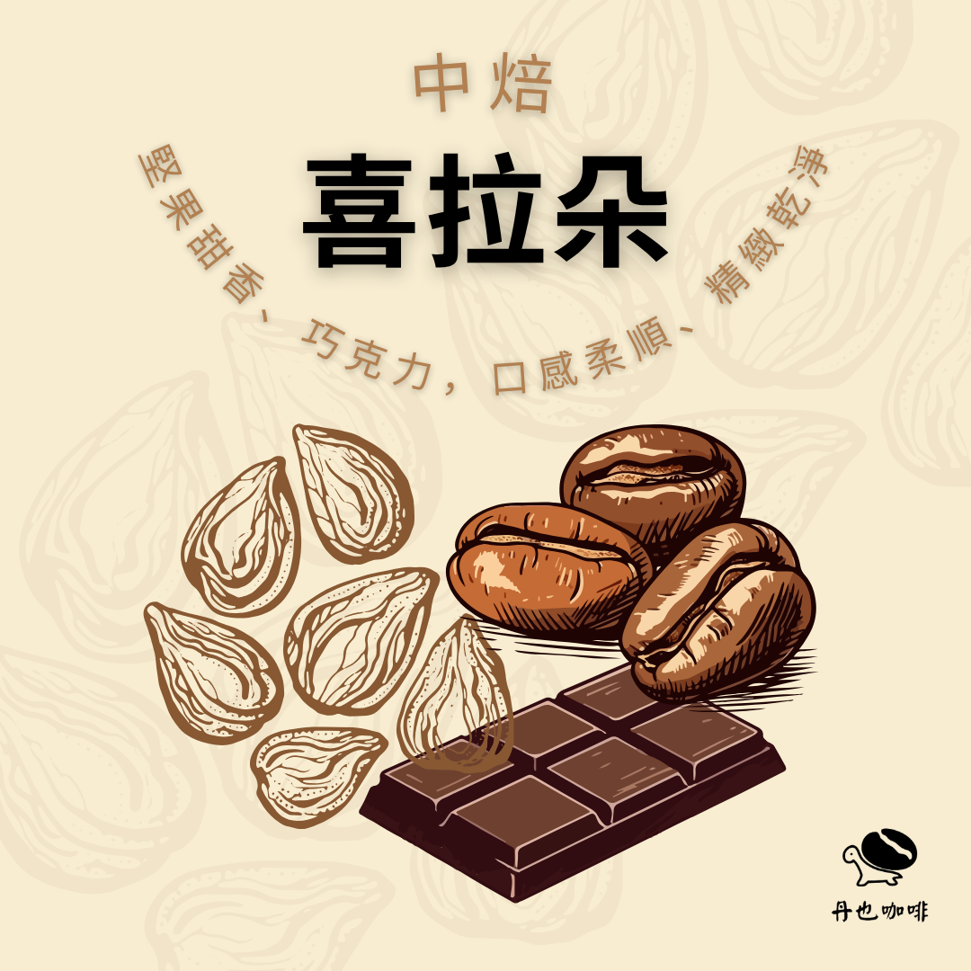 ＜中焙＞喜拉朵 / 巴西 / 堅果、巧克力