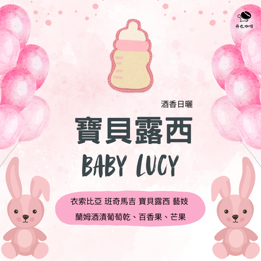 酸值高＜淺中焙＞寶貝露西 / 衣索比亞 班奇馬吉 寶貝露西藝伎 / 酒香日曬 / 蘭姆酒漬葡萄乾  百香果 芒果
