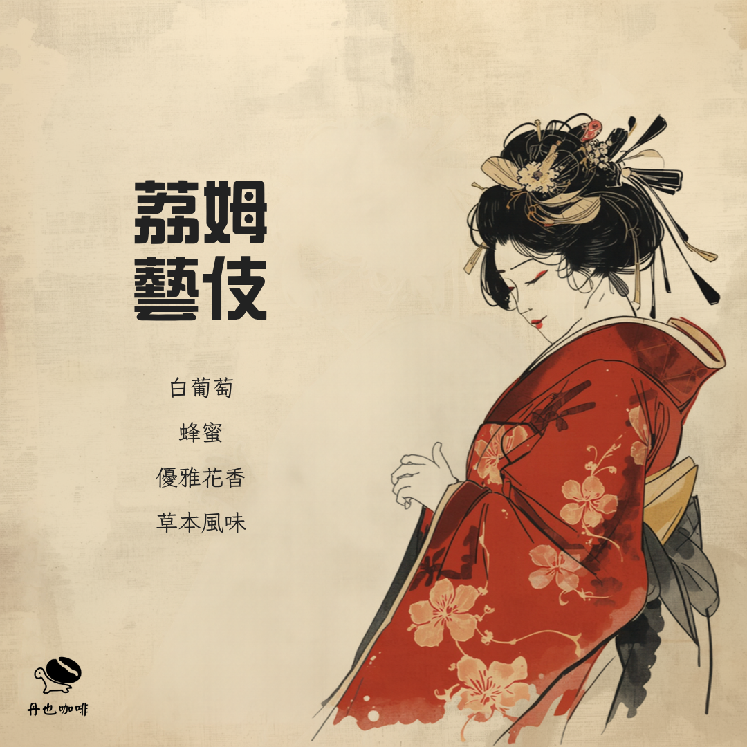 8月新豆＜淺焙＞荔姆藝伎 / 衣索比亞 吉瑪莉姆 / 日曬 / 白葡萄 蜂蜜 優雅花香