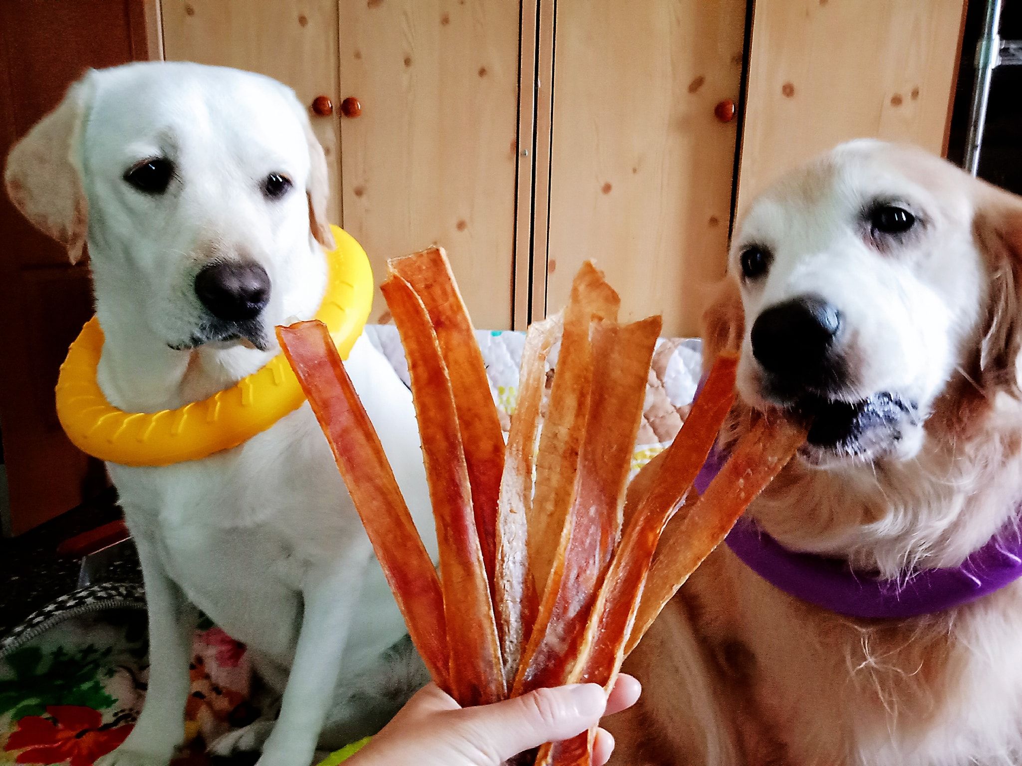 耐咬零食 ~ 鹿皮條