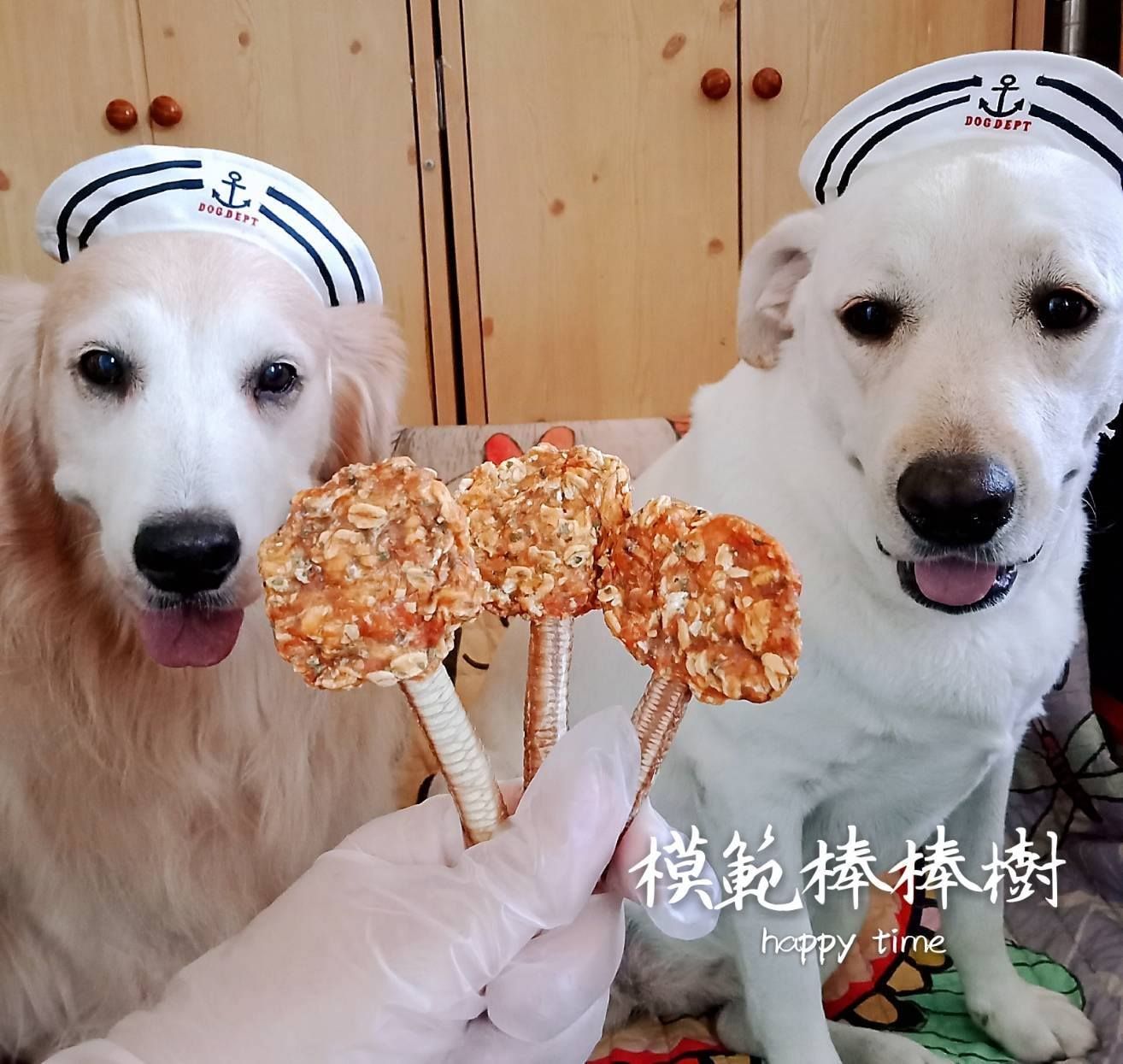 雞肉燕麥棒棒糖 （雞胸肉+鴨氣管製作）