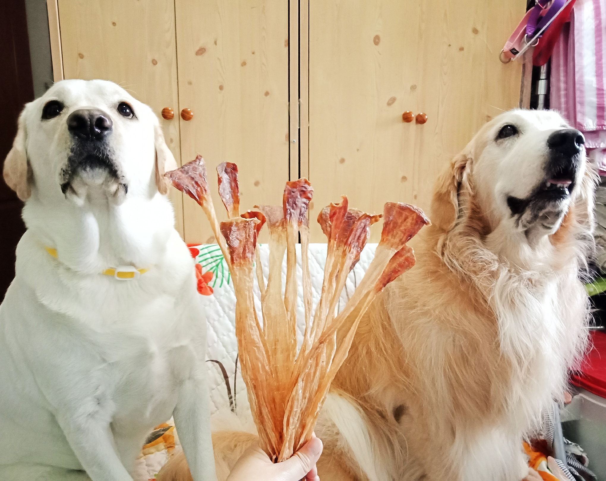 寵物手工零食 一束鴨花腸 零食 很適合小型犬 小毛