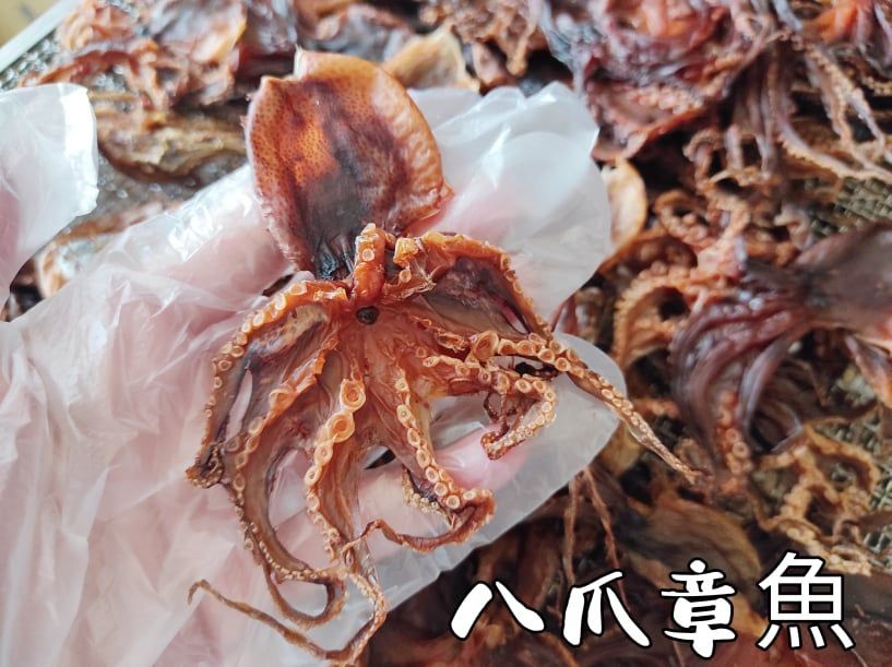 八爪章魚