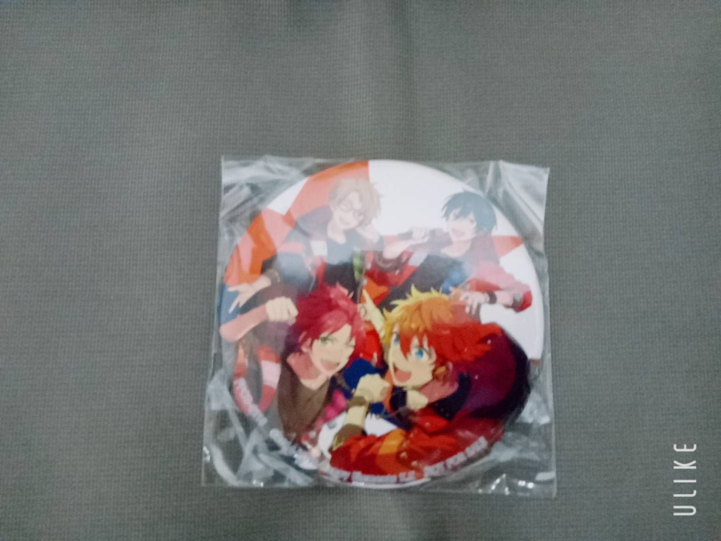 TS CD/特典徽