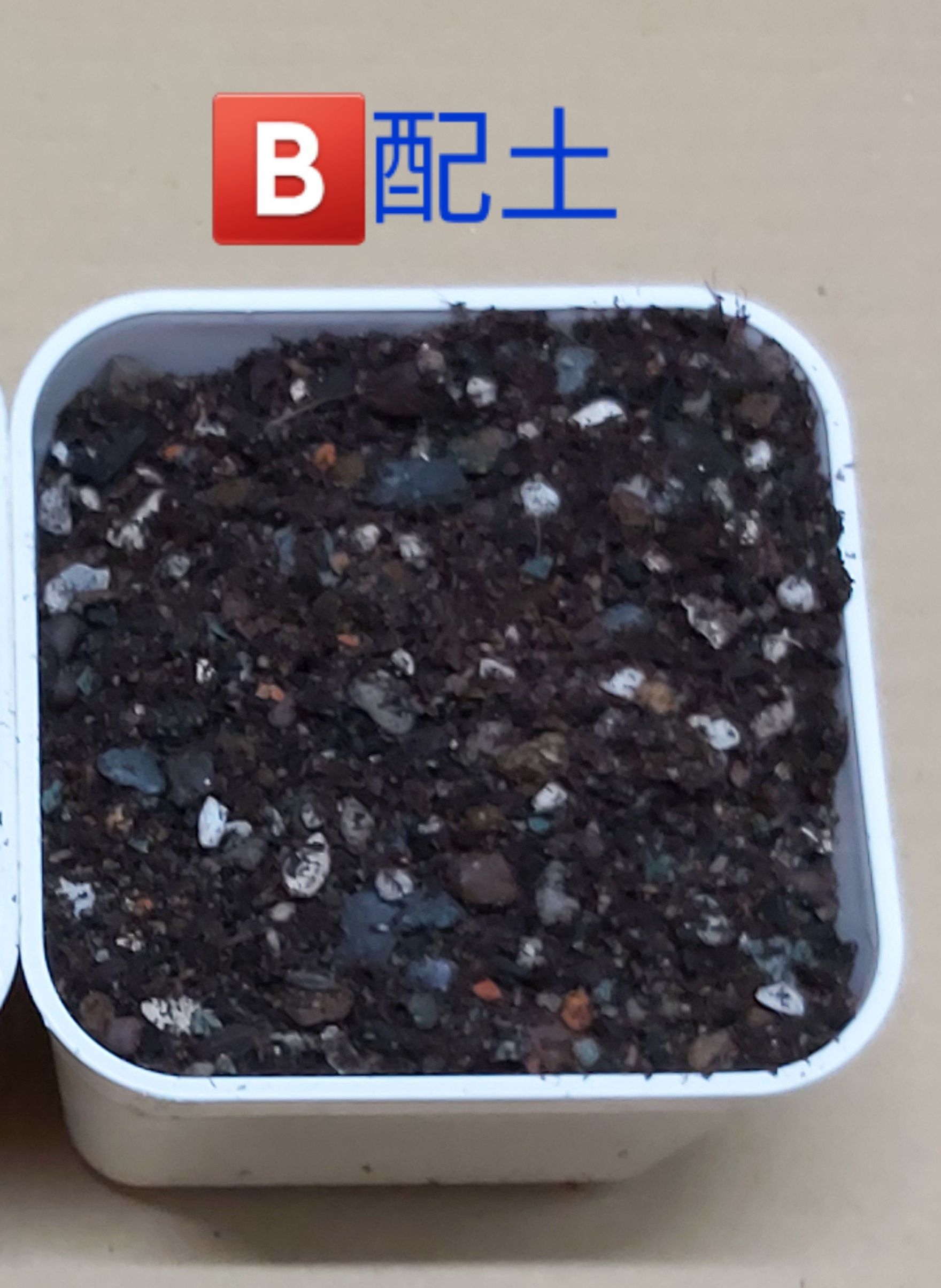 B土（5公升）店到店限購一份
