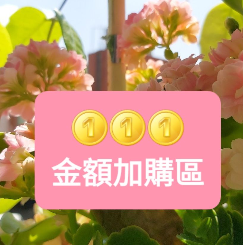 加購區～請選擇金額