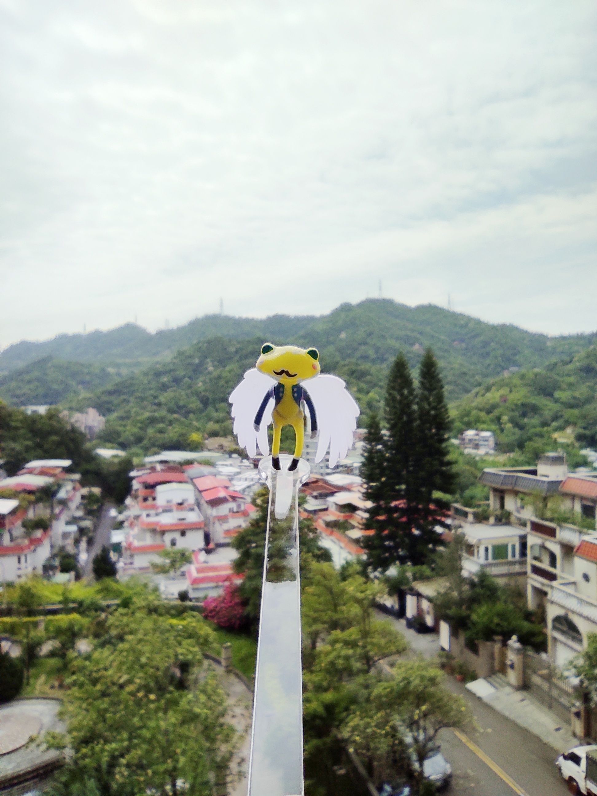 Wonder frog（Fortune wanda friend）用自拍站台棒