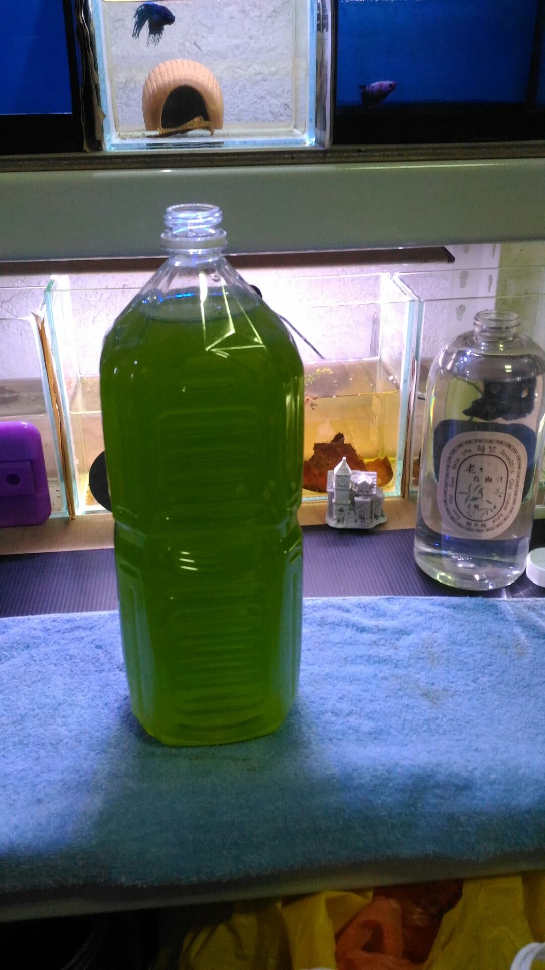 （有現貨）2公升綠水（當天下訂當天出貨）（孔雀魚仔魚成魚＆燈科＆鬥魚等等小型魚類）