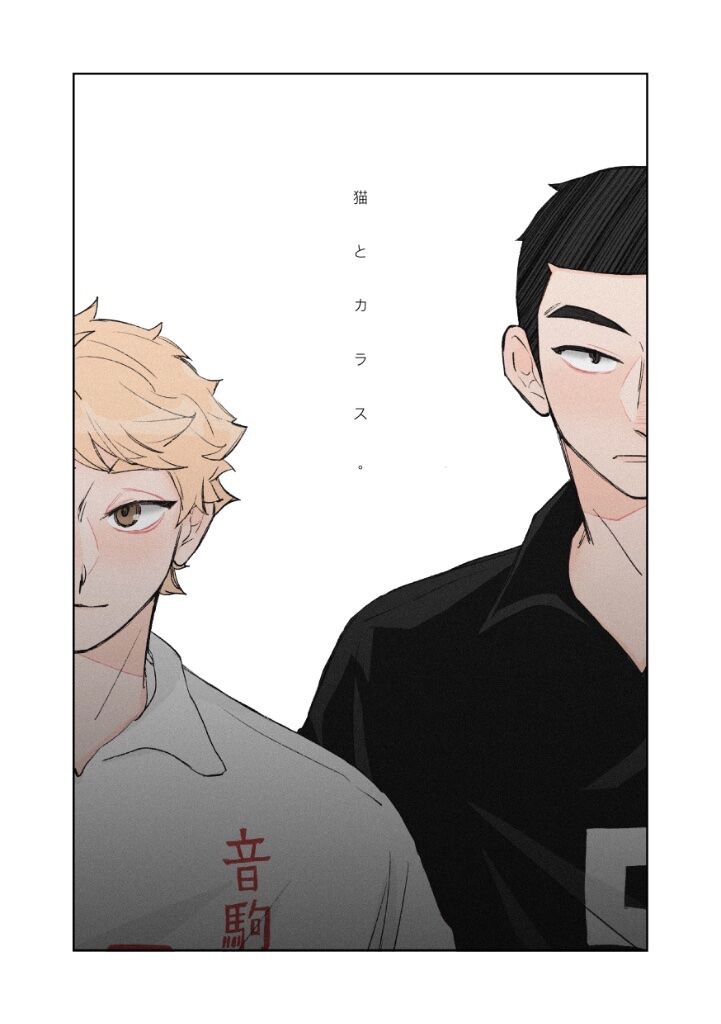 NiCE🏐教練組無差清水新刊《猫とカラス》