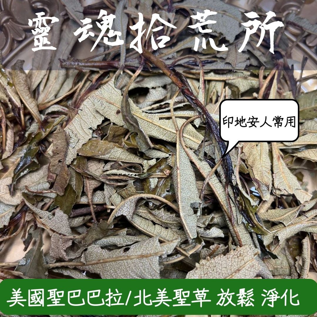 聖巴巴拉草 北美聖草 Yerba santa 神聖的藥草 熊兒草 驅邪淨化聖品 印地安人愛用草