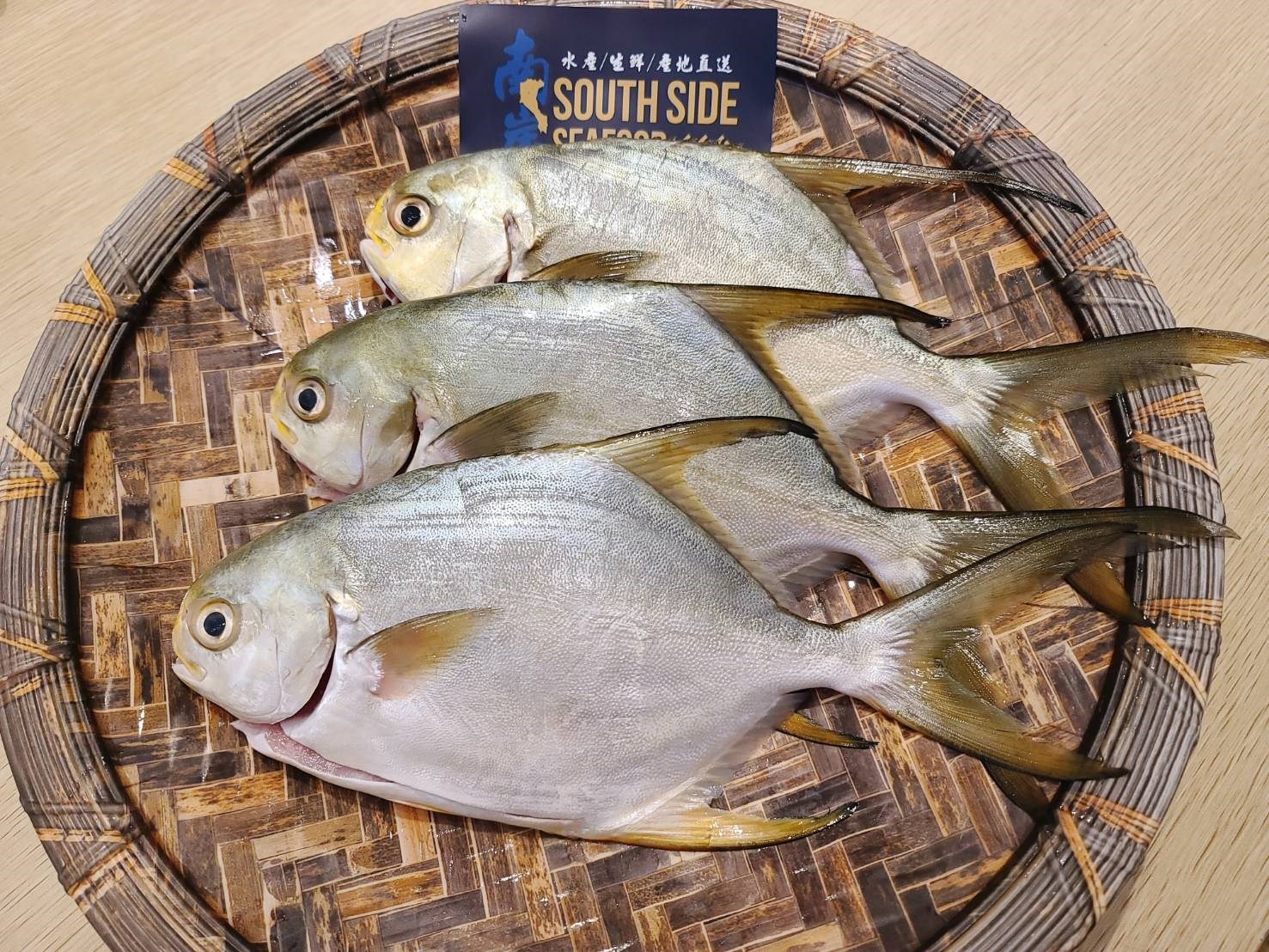 【南岸海鮮】黃金鯧/正圓鱈