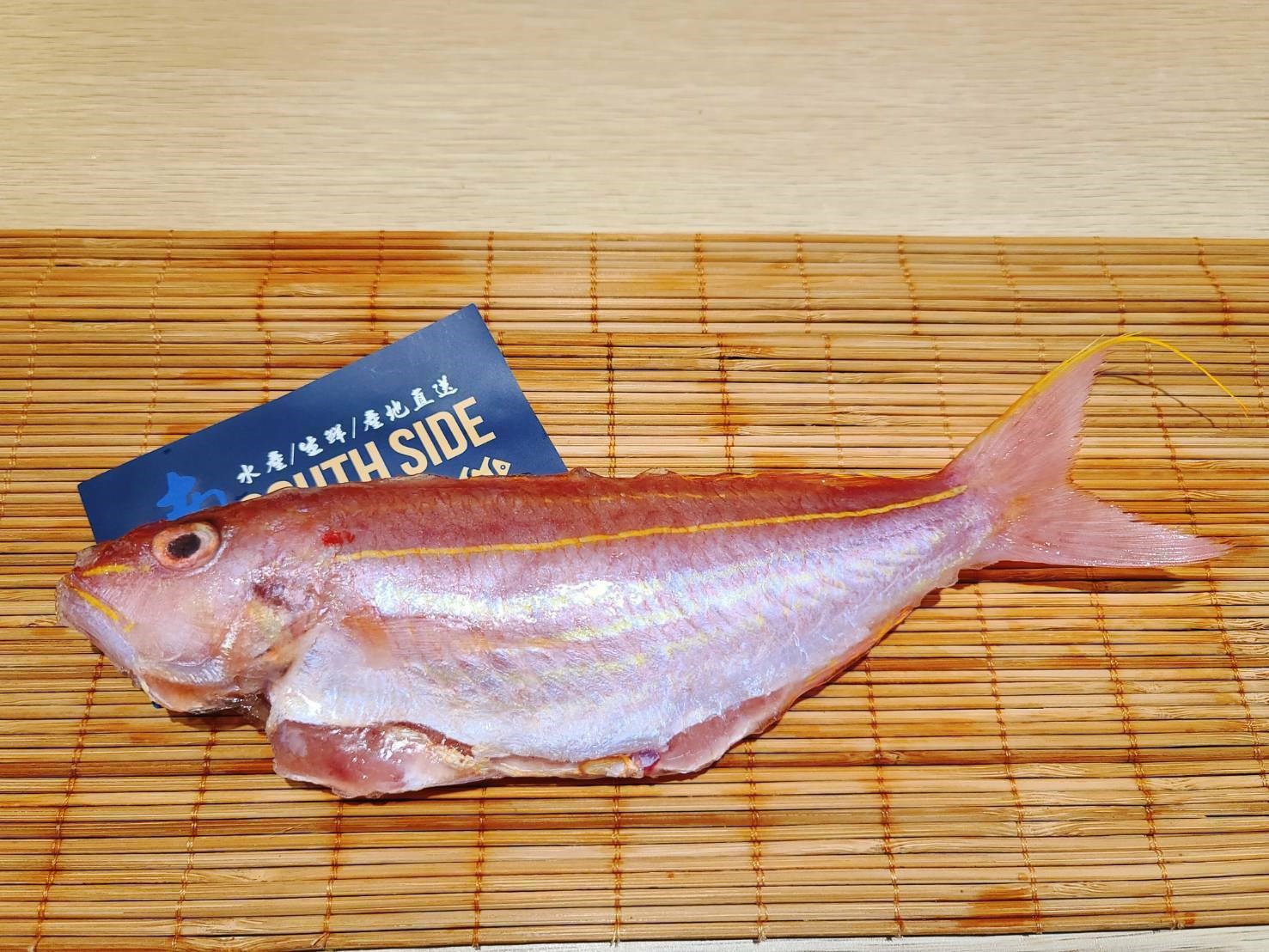 【南岸海鮮】日本金線魚/野生印尼燕條魚