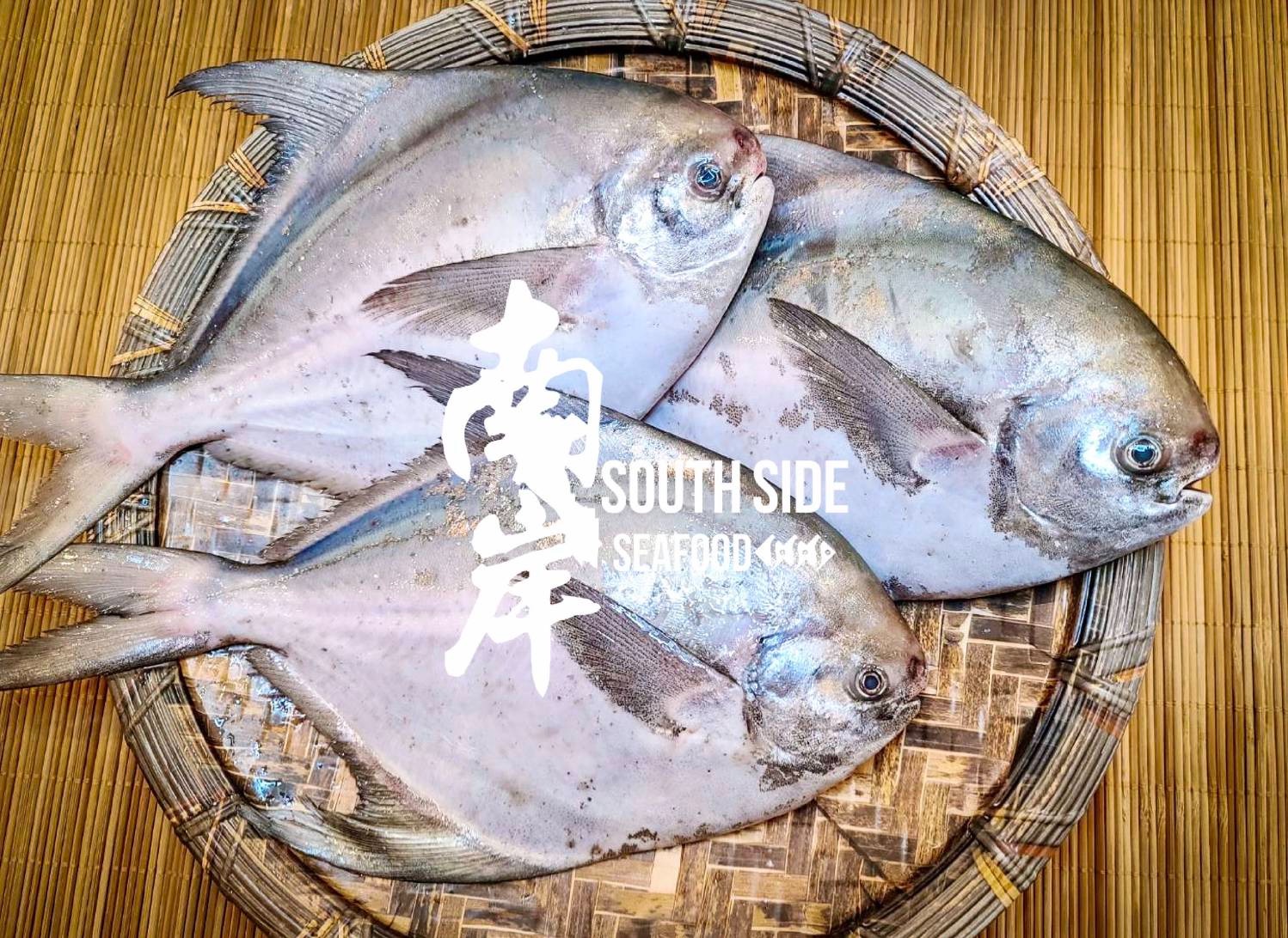 【南岸海鮮】白鯧魚/野生紅嘴魚/柳葉魚