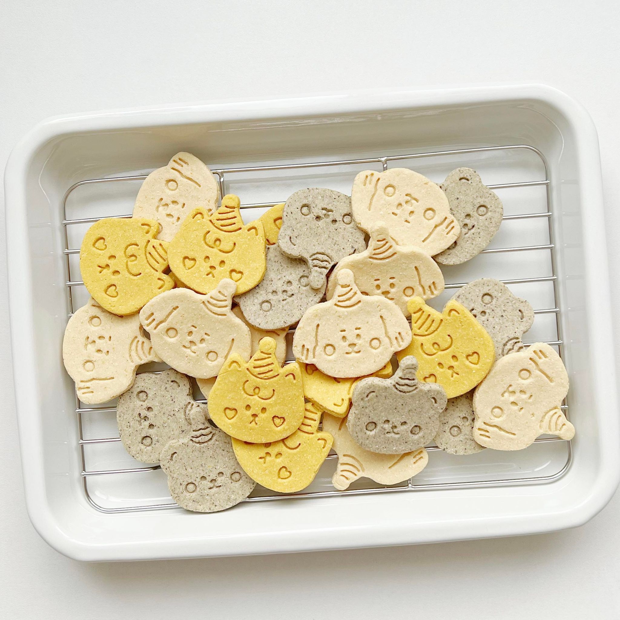 ꒰ 動物派對 ꒱