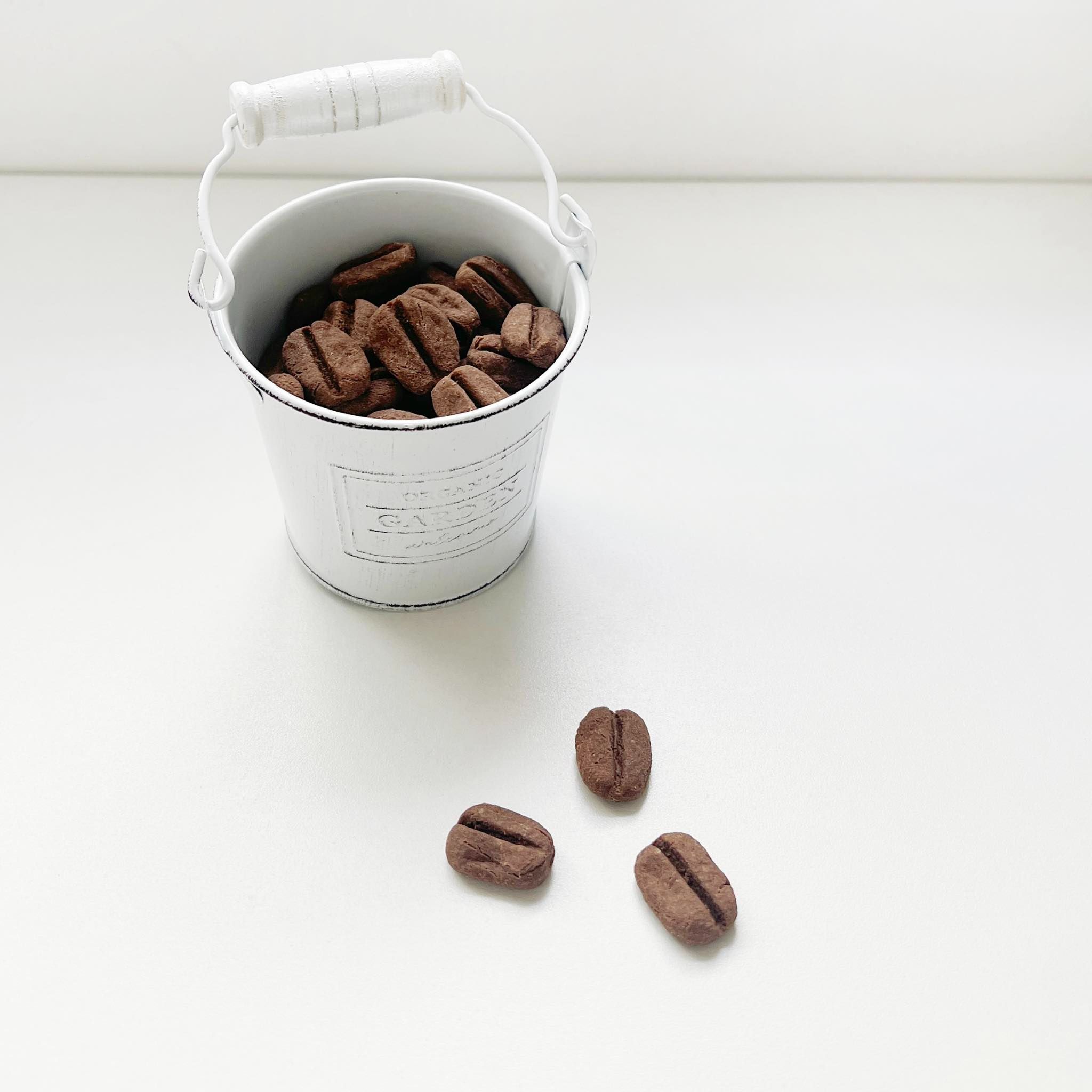 ꒰ 毛孩咖啡豆 ꒱