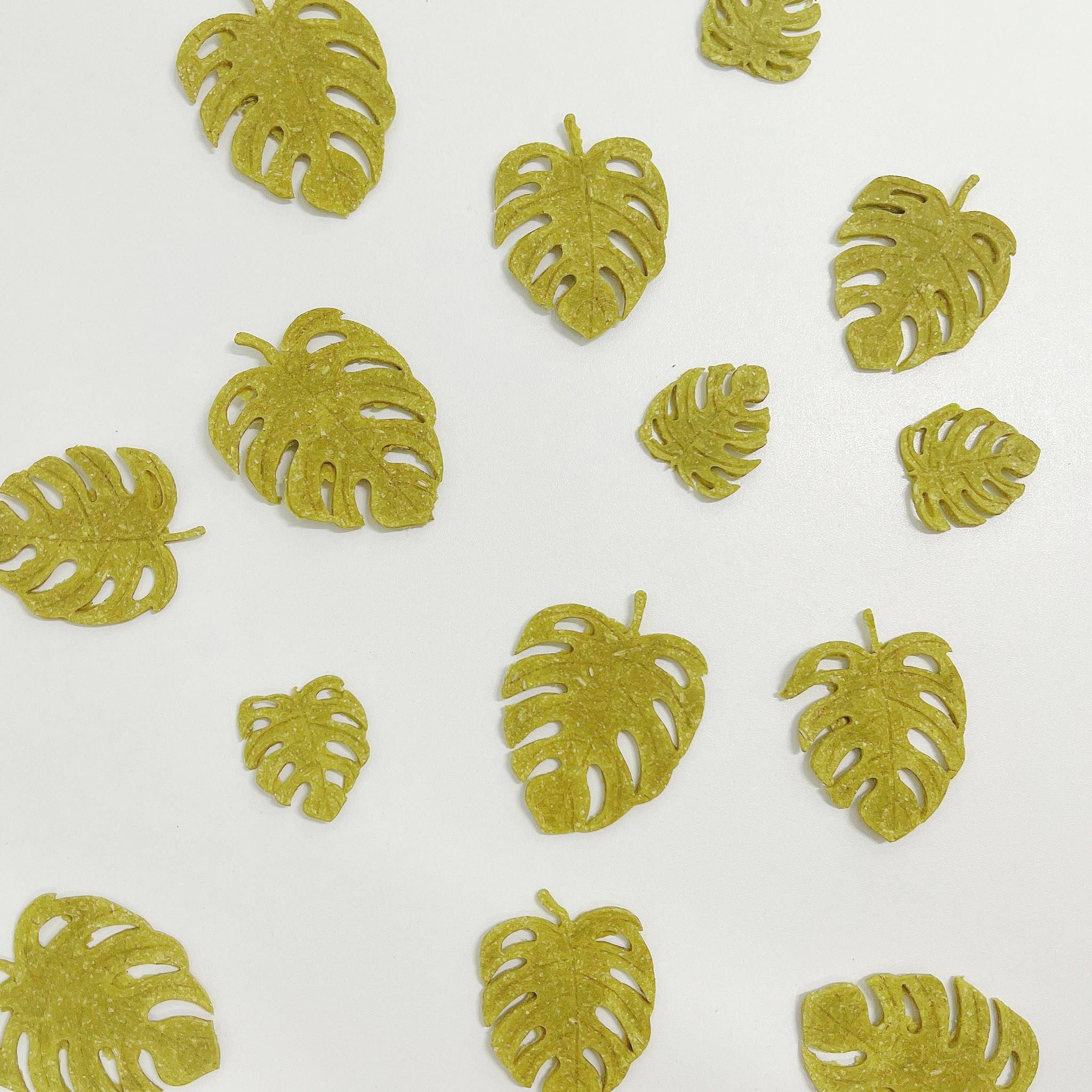 ꒰ 龜背芋迷迭餅乾 ꒱