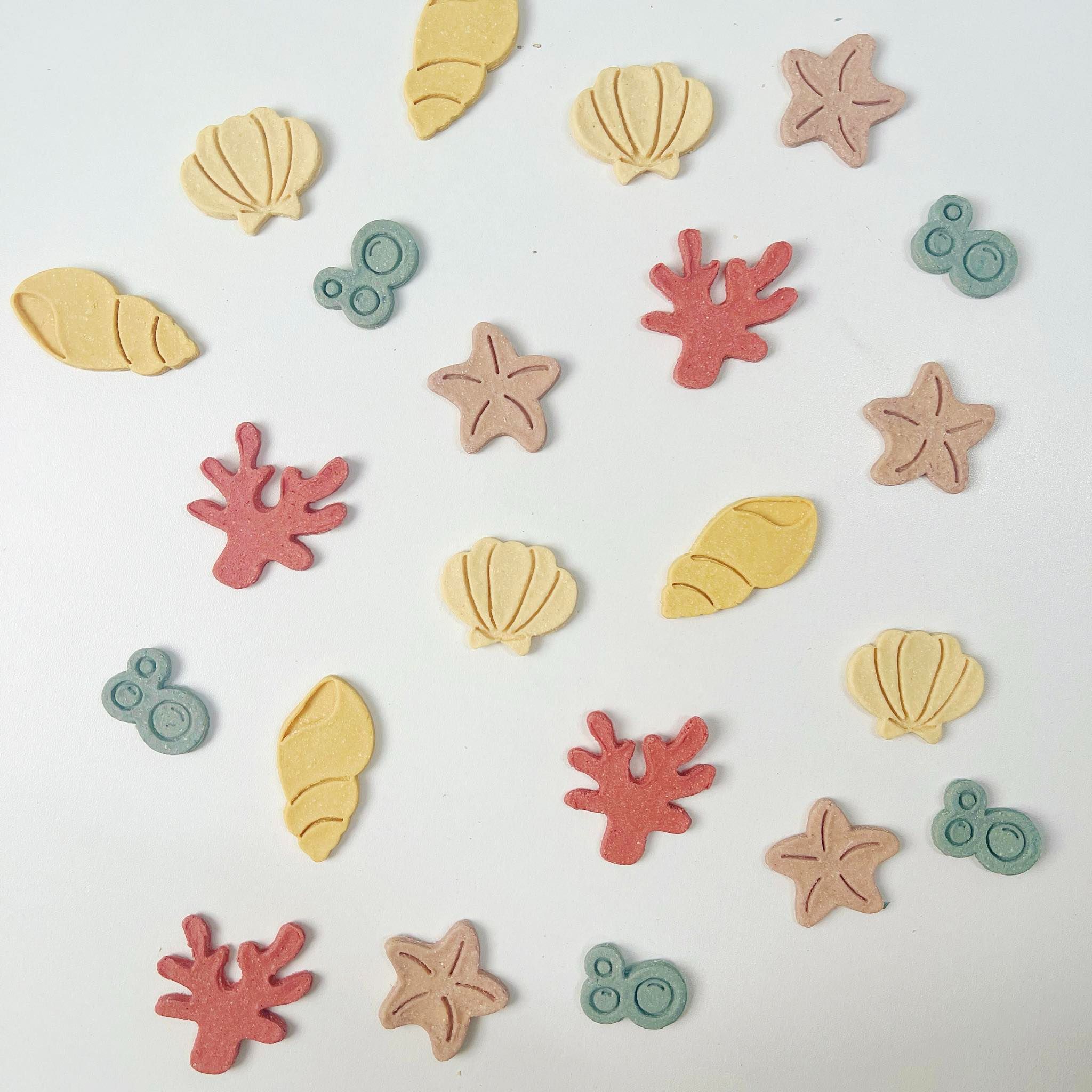 8/31前開放訂購꒰ 海洋世界 ꒱