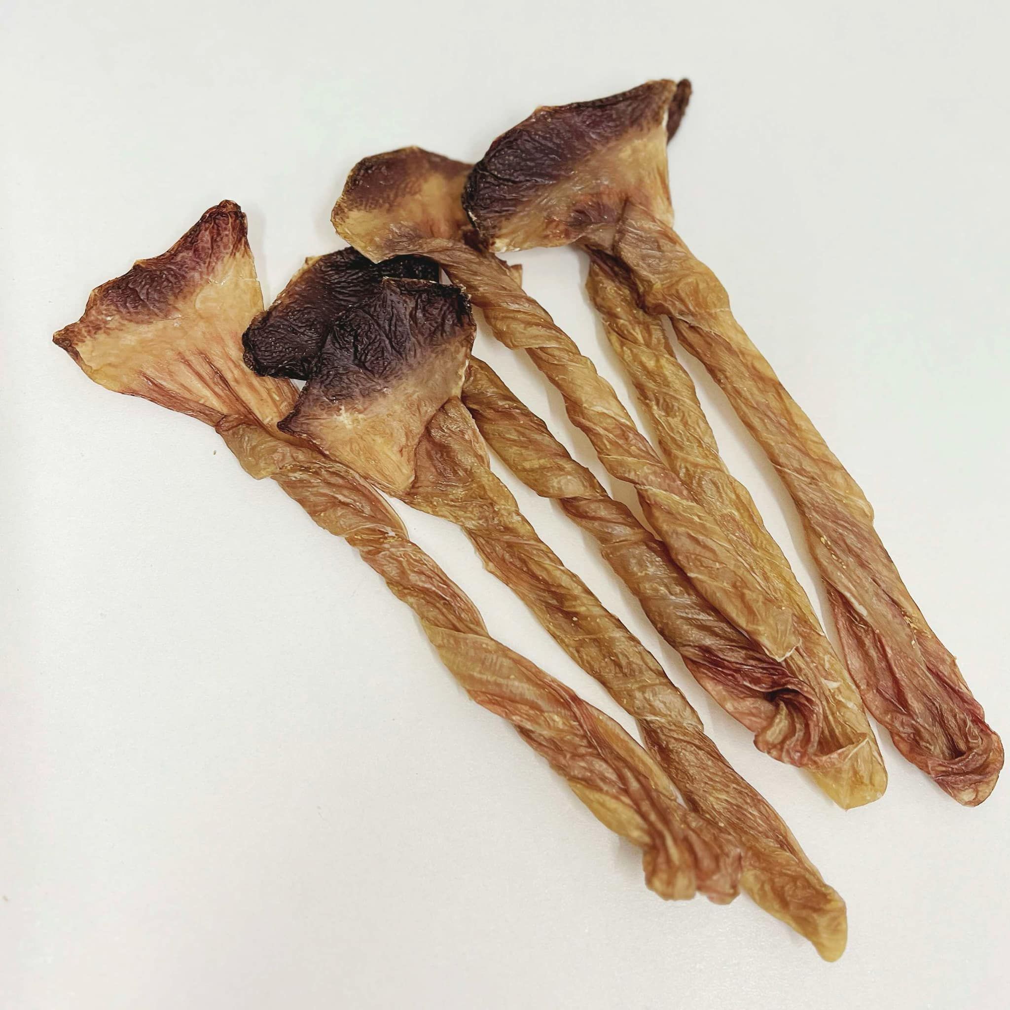 ꒰ 酥脆鴨腱 ꒱