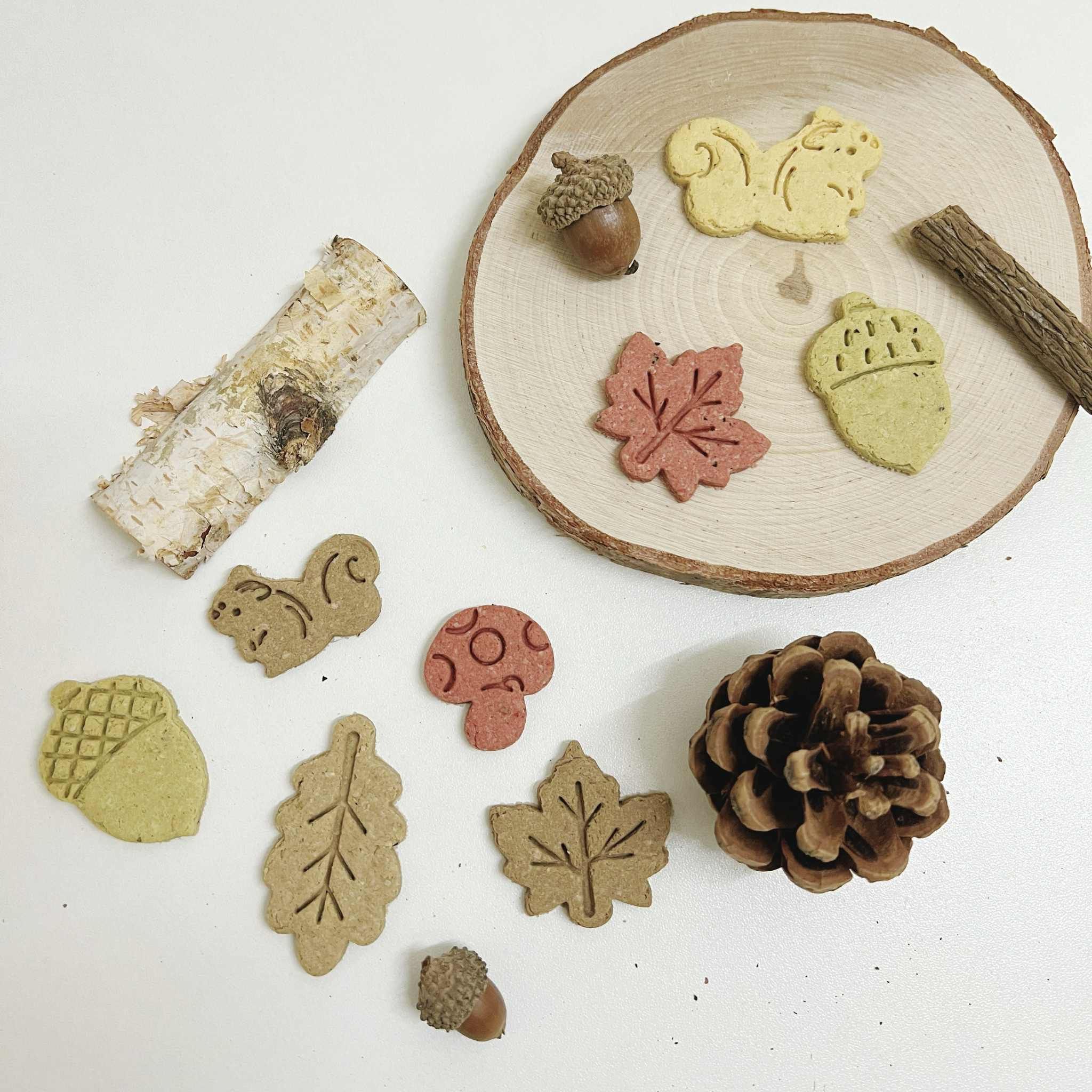 ⁽ 𝟭𝟮月限定 ⁾ 森林秋菓