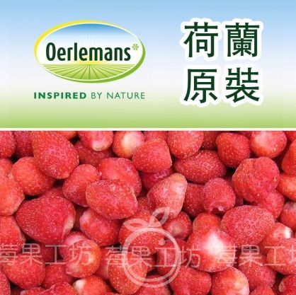 【莓果工坊】荷蘭 草莓原裝進口 