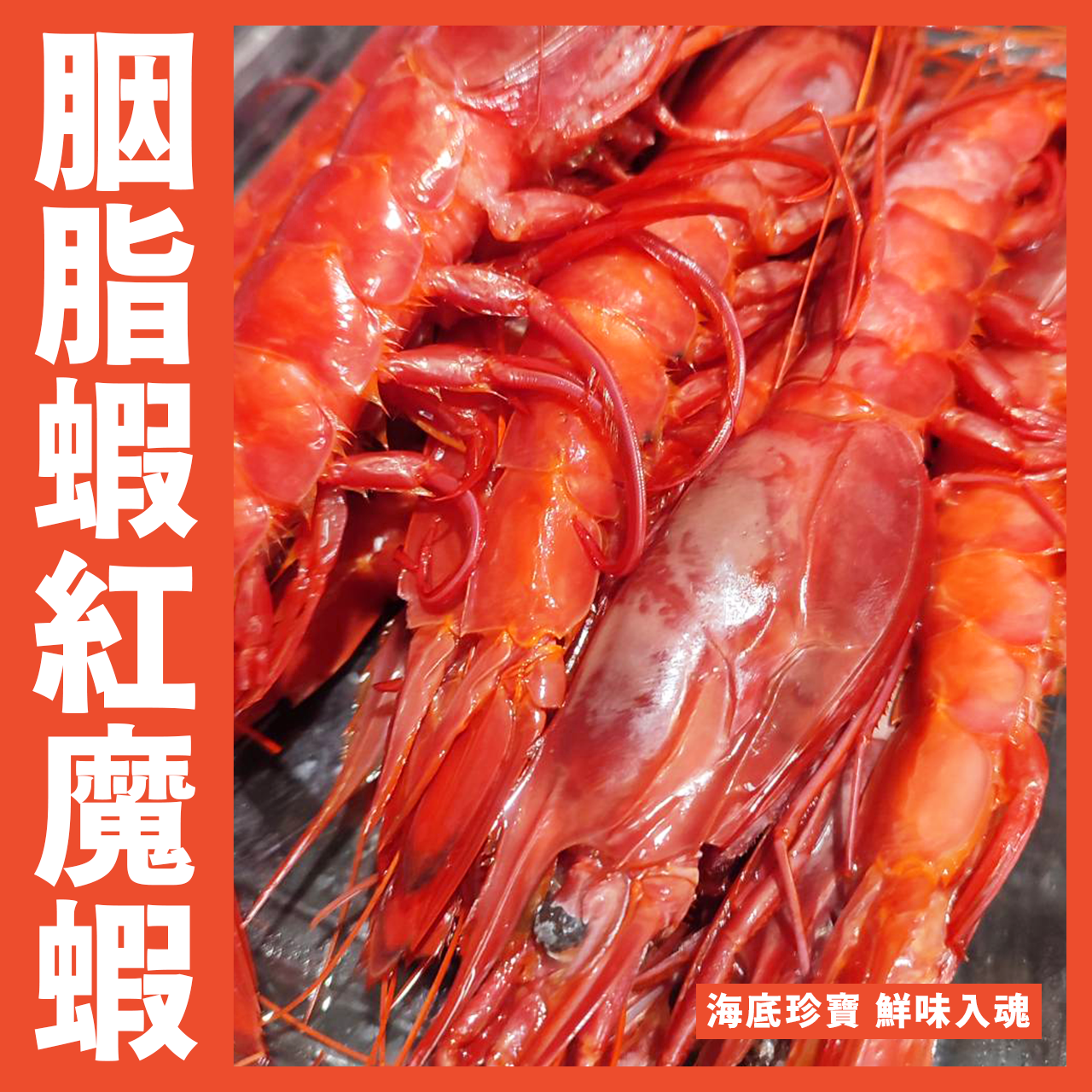 【天天來海鮮】世界第一大XXL胭脂蝦/紅魔蝦🦐1200克8-12大尾/生食蝦/胭脂蝦