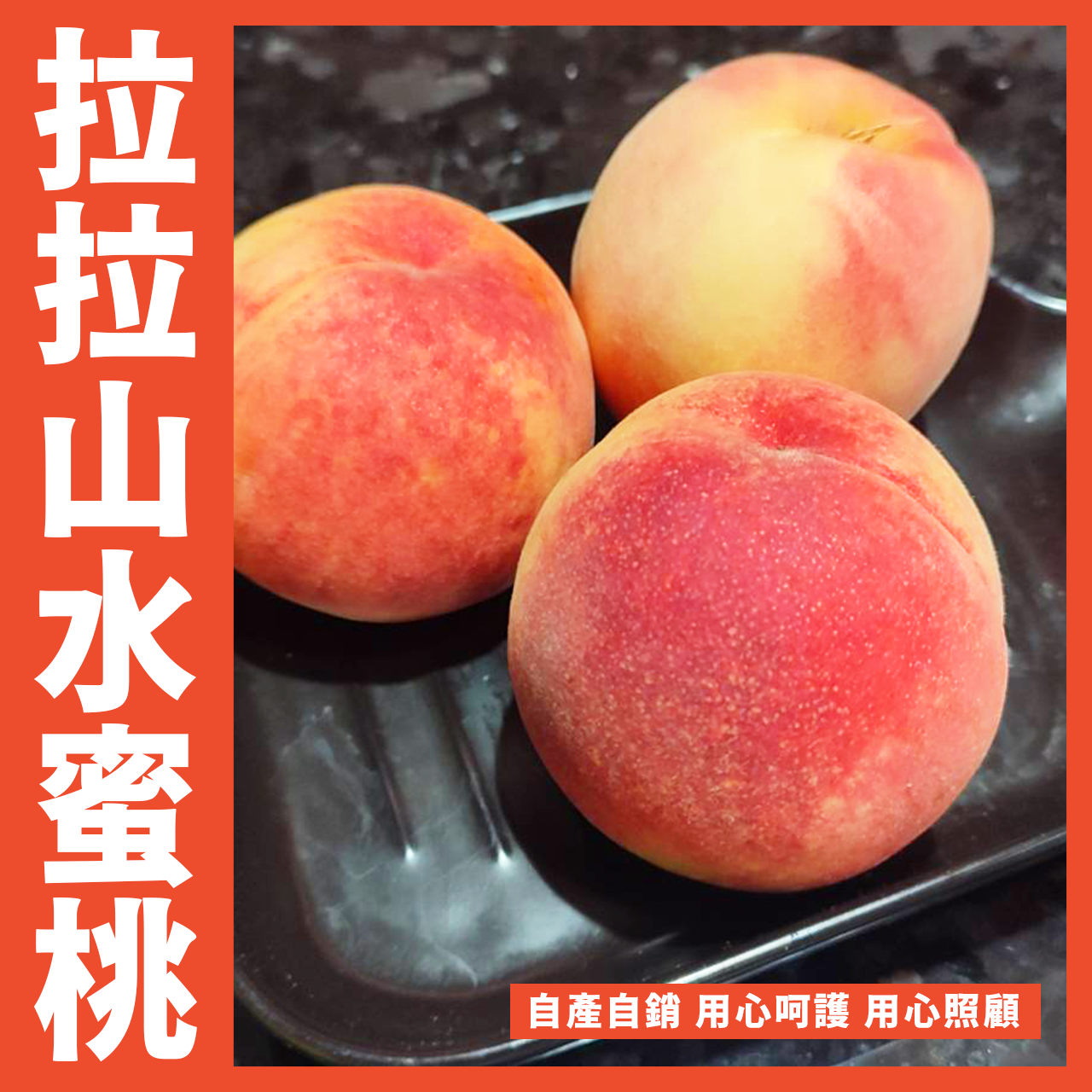 【天天來海鮮】正宗拉拉山巴陵水蜜桃 正值產季