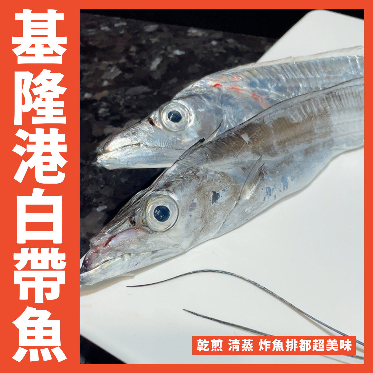【天天來海鮮】基隆港現釣大白帶魚/600-650/尾