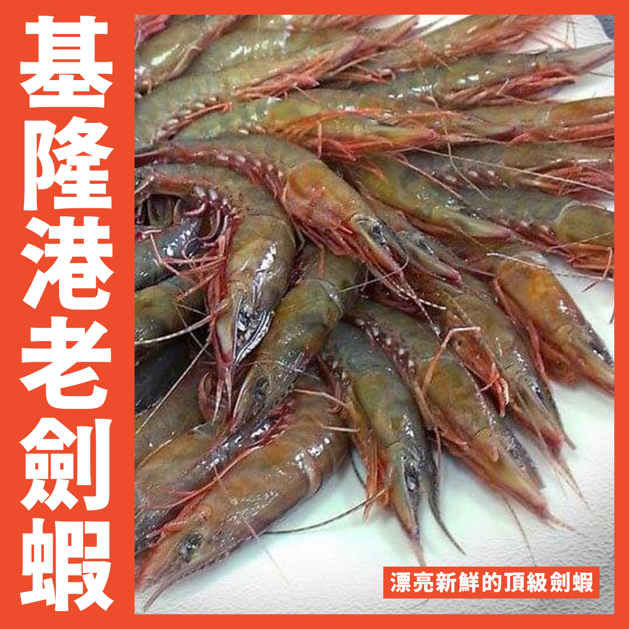 【天天來海鮮】基隆港頂級LV老劍蝦每盒1000克/80-95大尾/生食級