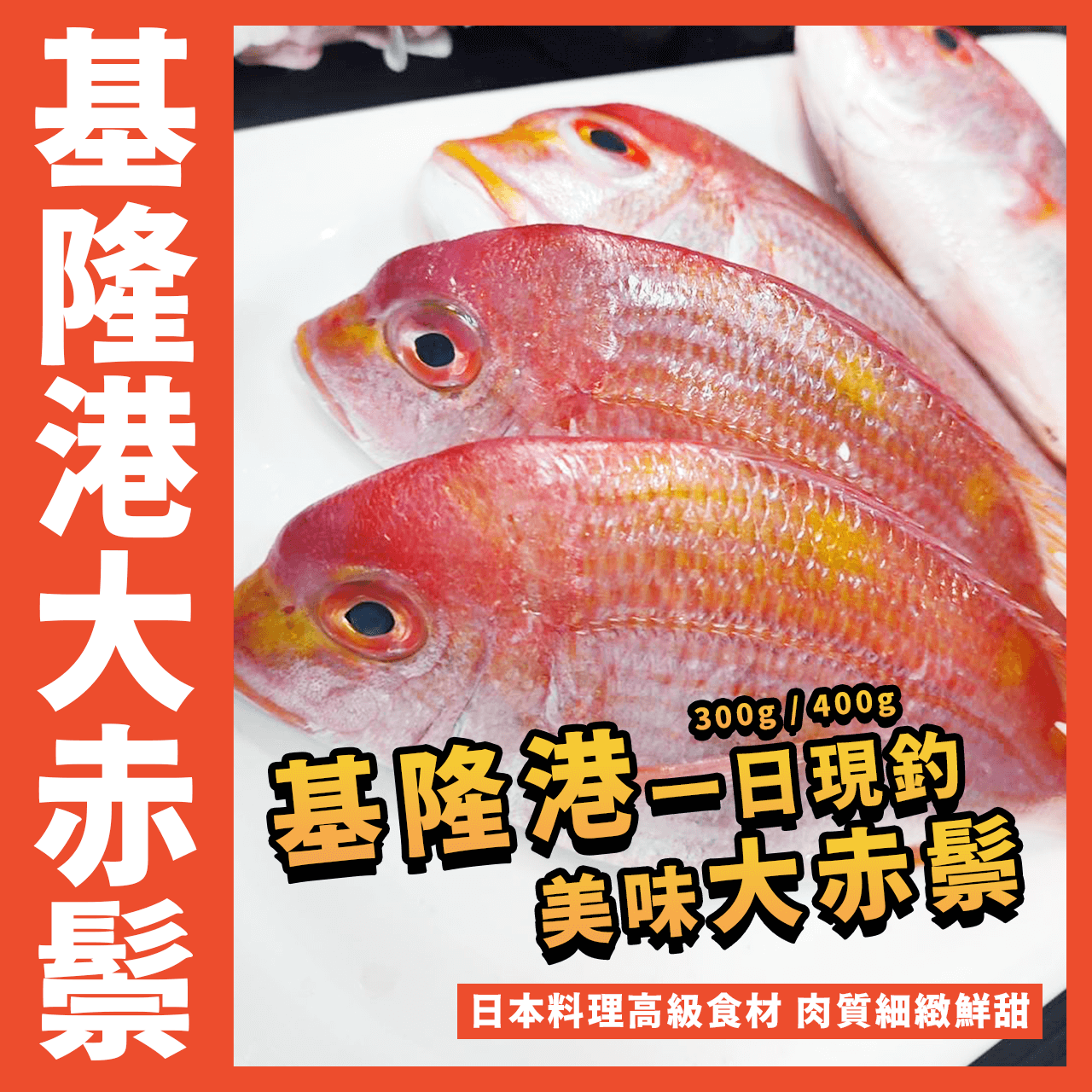 【天天來海鮮】基隆一日釣大赤鬃／250/350g／赤鬃 / 赤鬃魚 / 赤鯮 / 赤棕 / 真空包裝